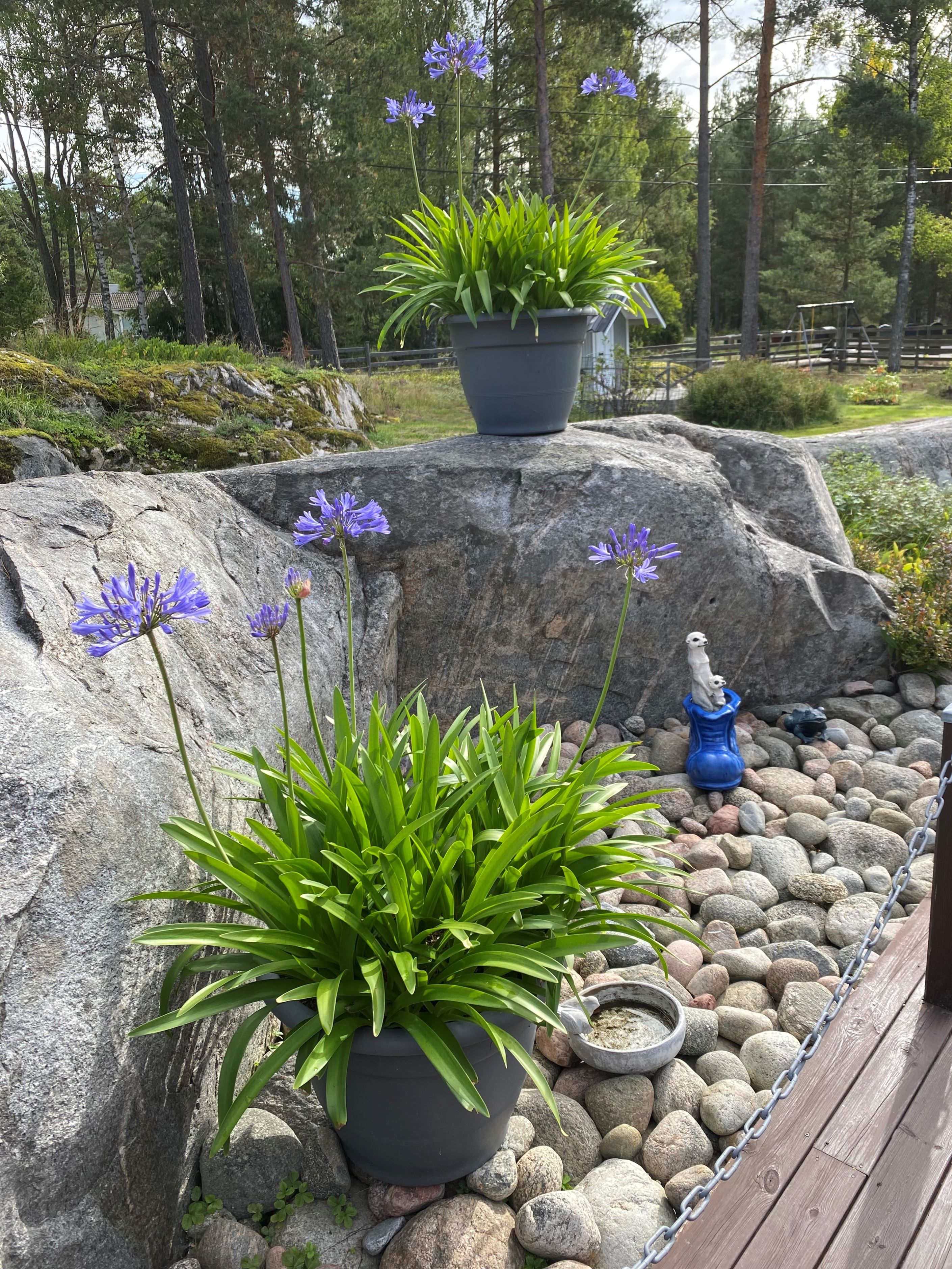 Säljarens sommarbild