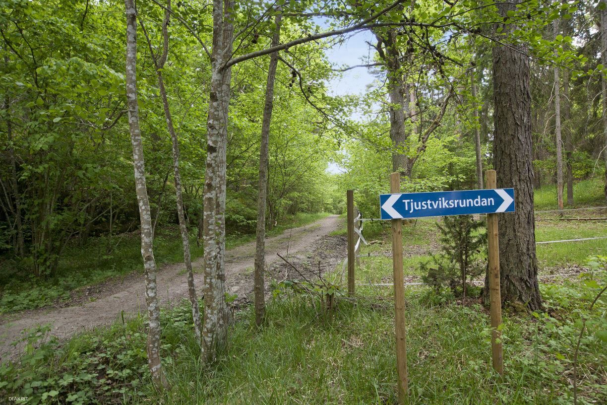 Perfekt 5 km joggingrunda genom vacker natur