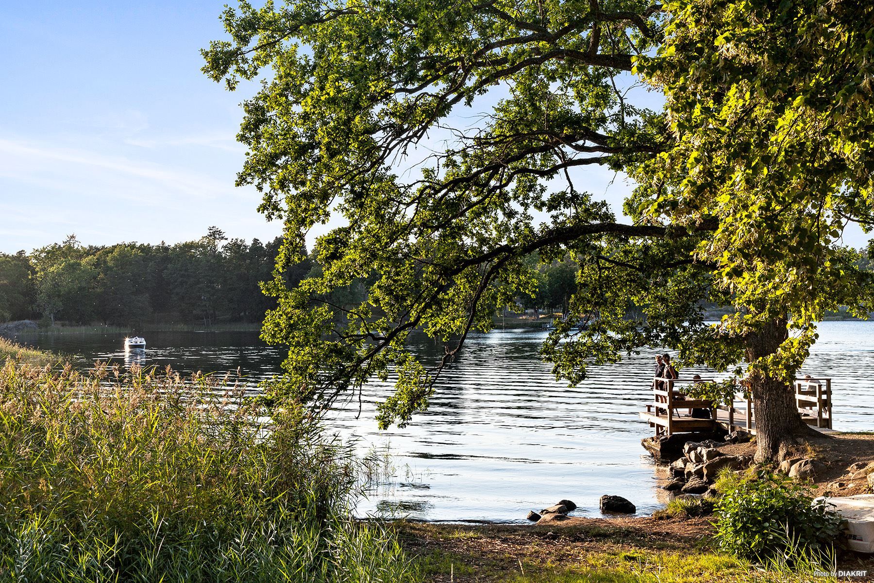 Bild på den närliggande badbryggan.