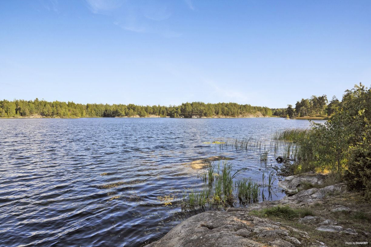 Kvarnsjön - härlig badsjö i närheten