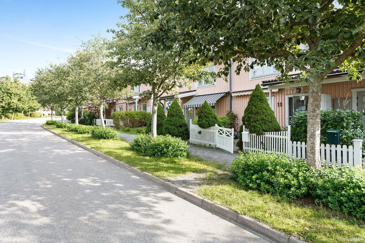 Mysiga inbjudande Vitmossevägen