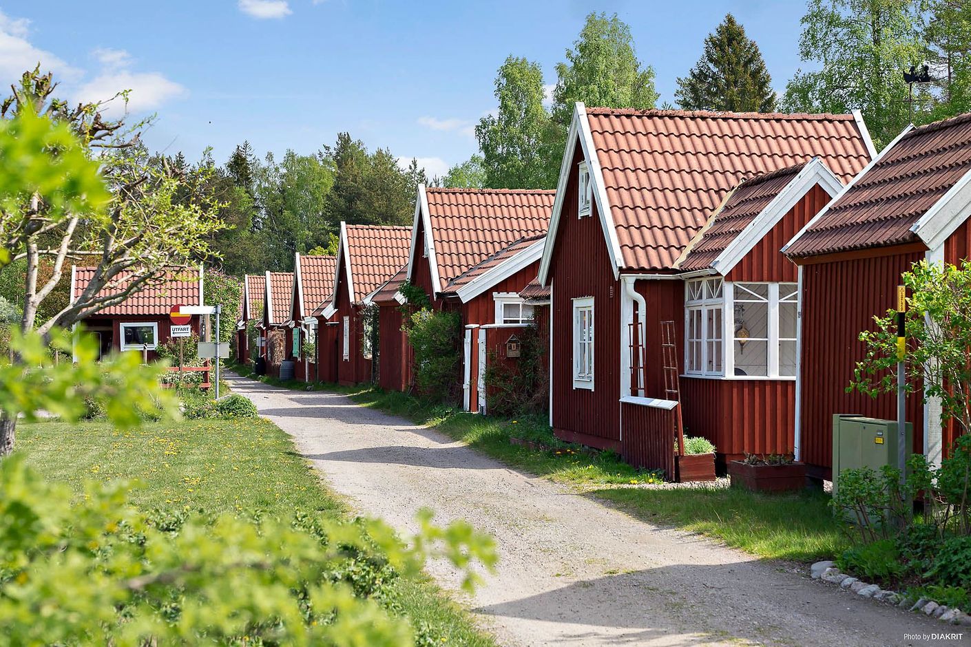 Hjortens Odling