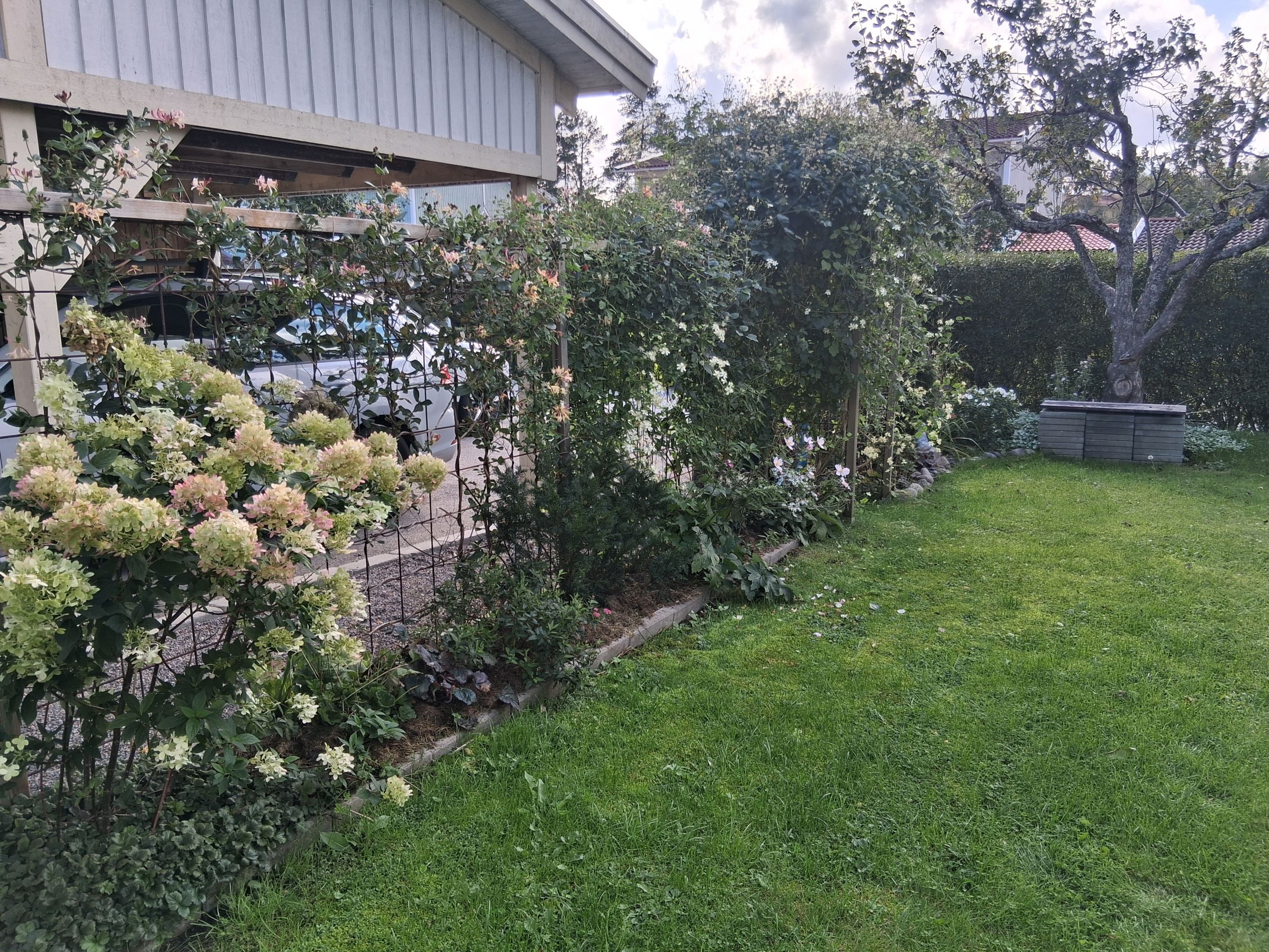 Säljarens sommarbild