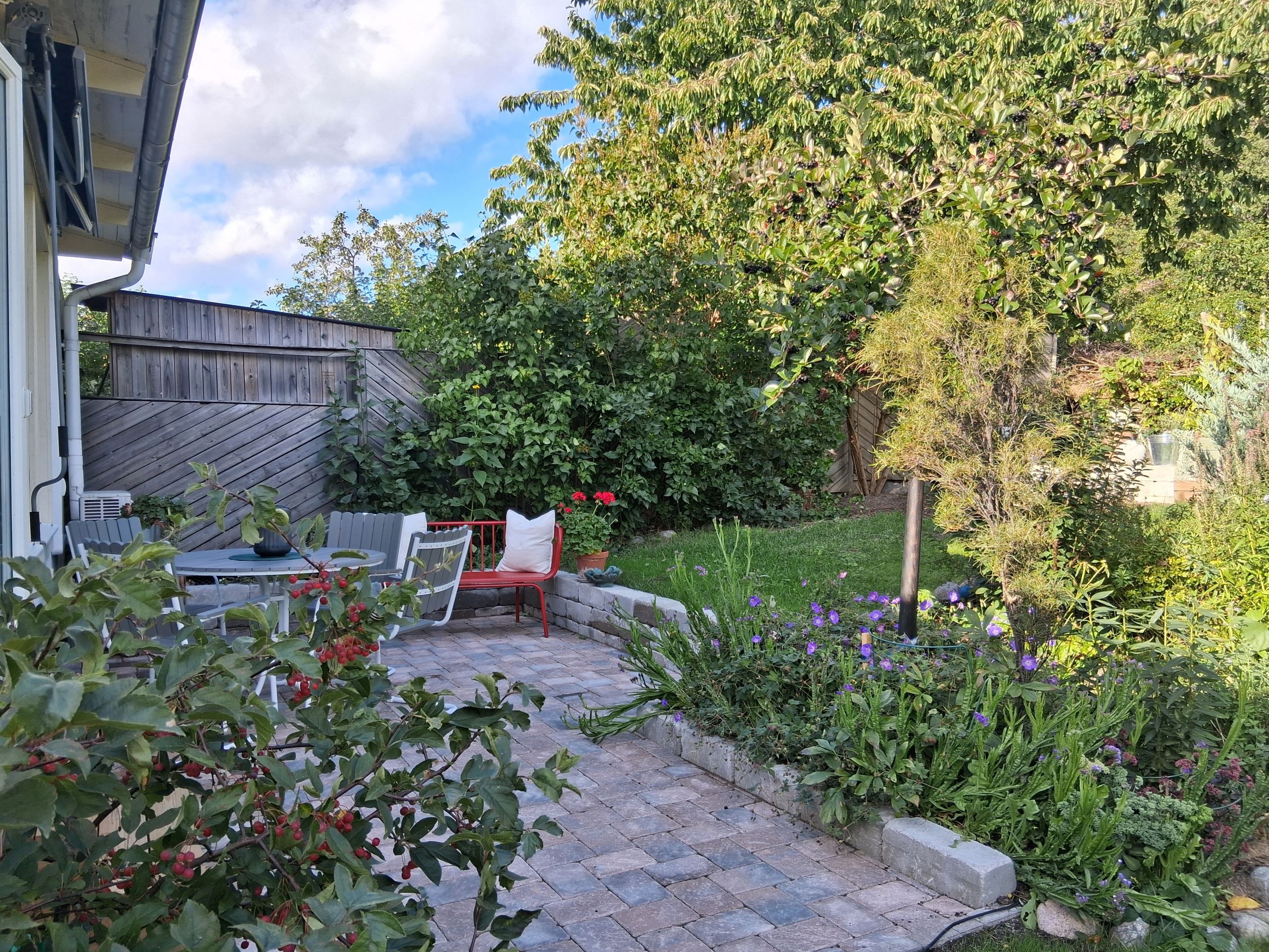 Säljarens sommarbild