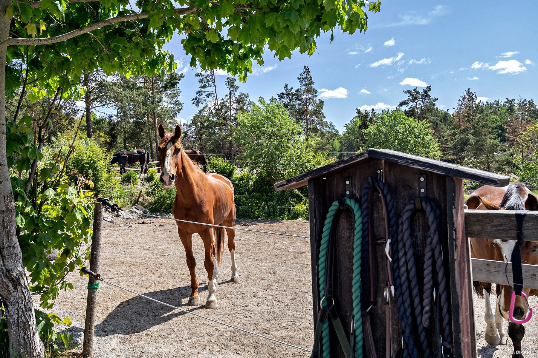 Stallet Stora Koviks gård