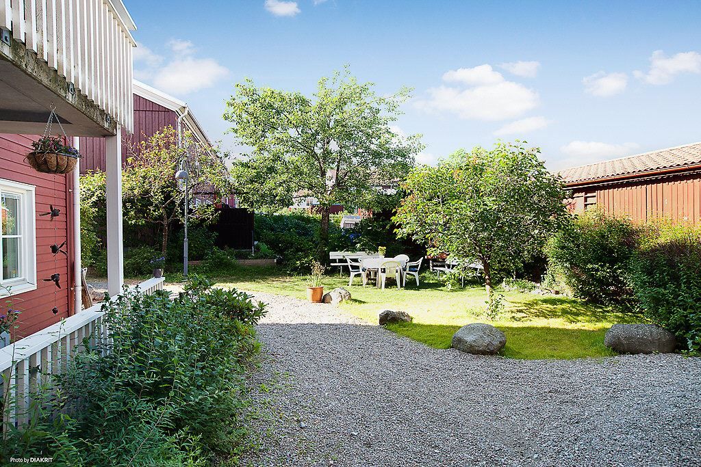 Trädgård med utemöbler i kvällssol i föreningen