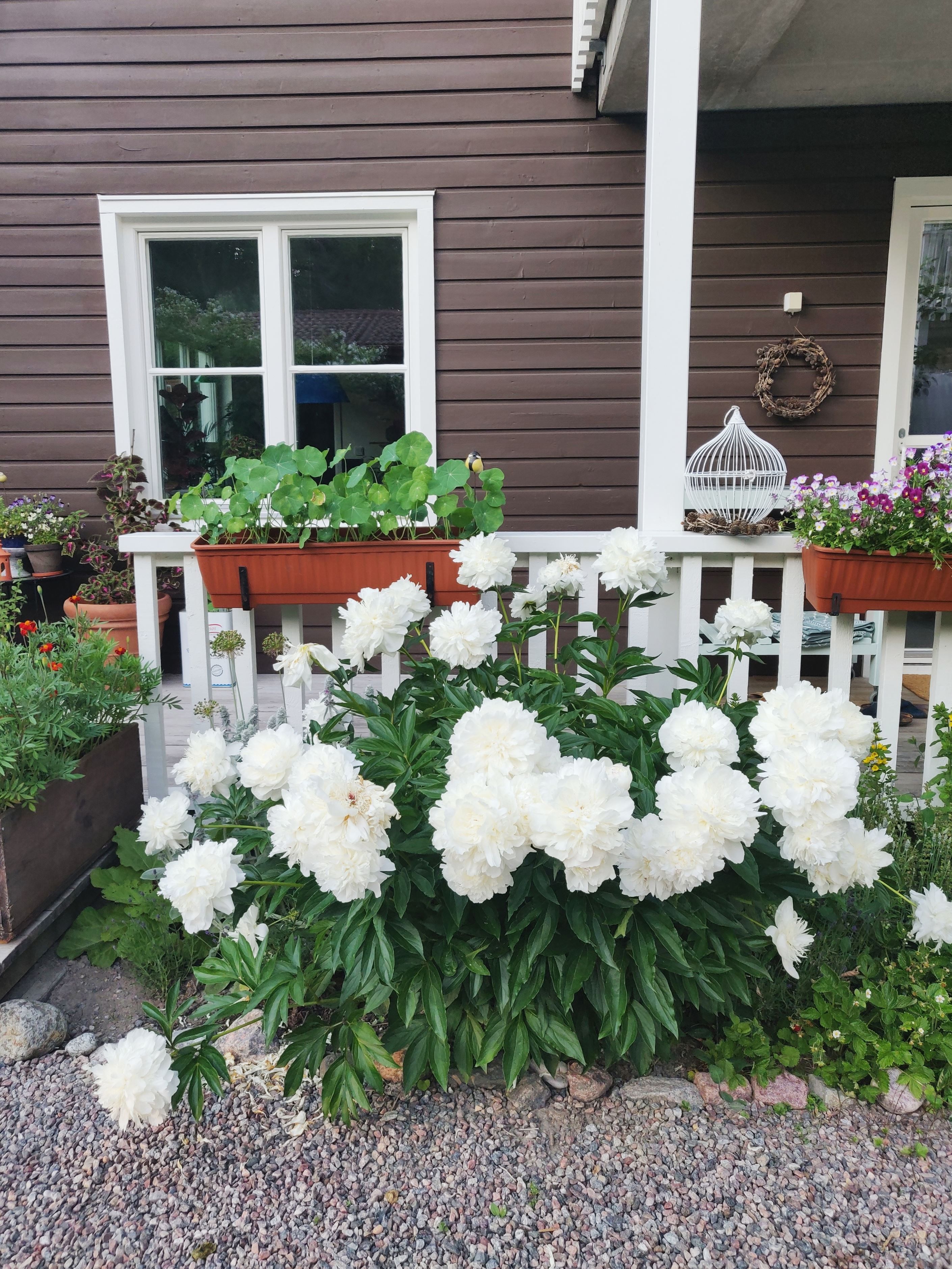 Säljarens egna bilder