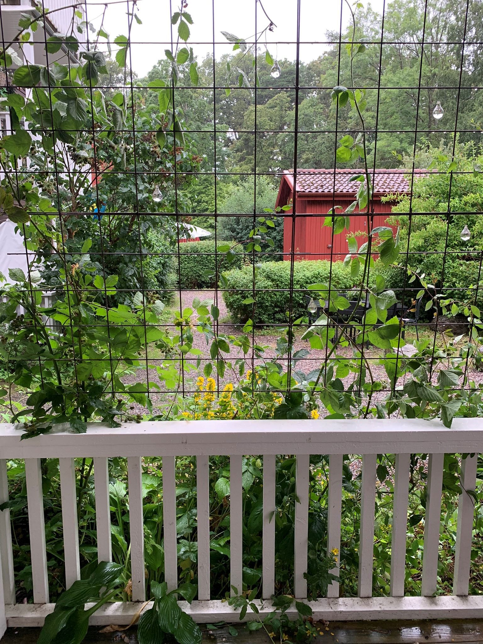 Säljarens egna bilder