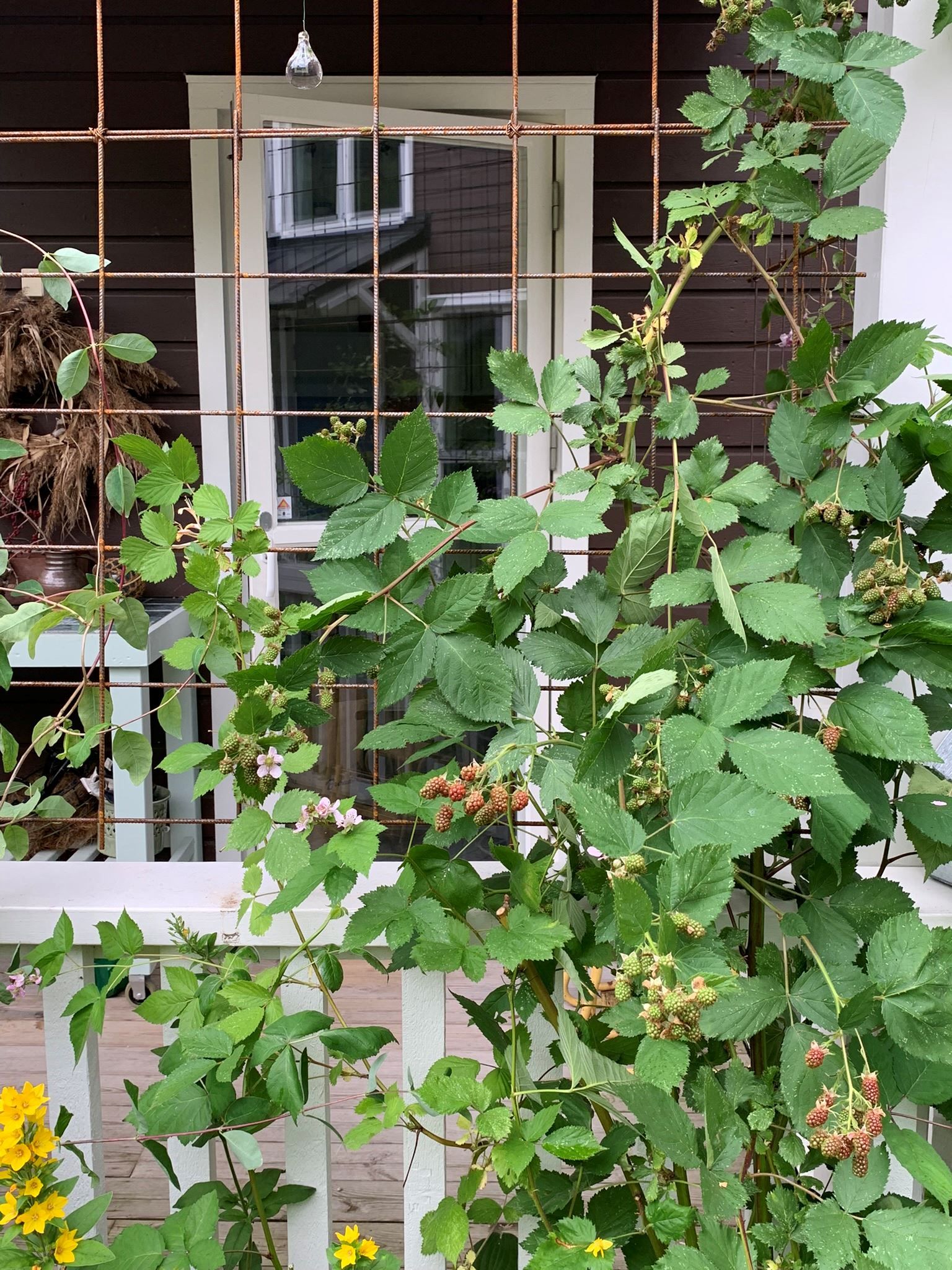 Säljarens egna bilder