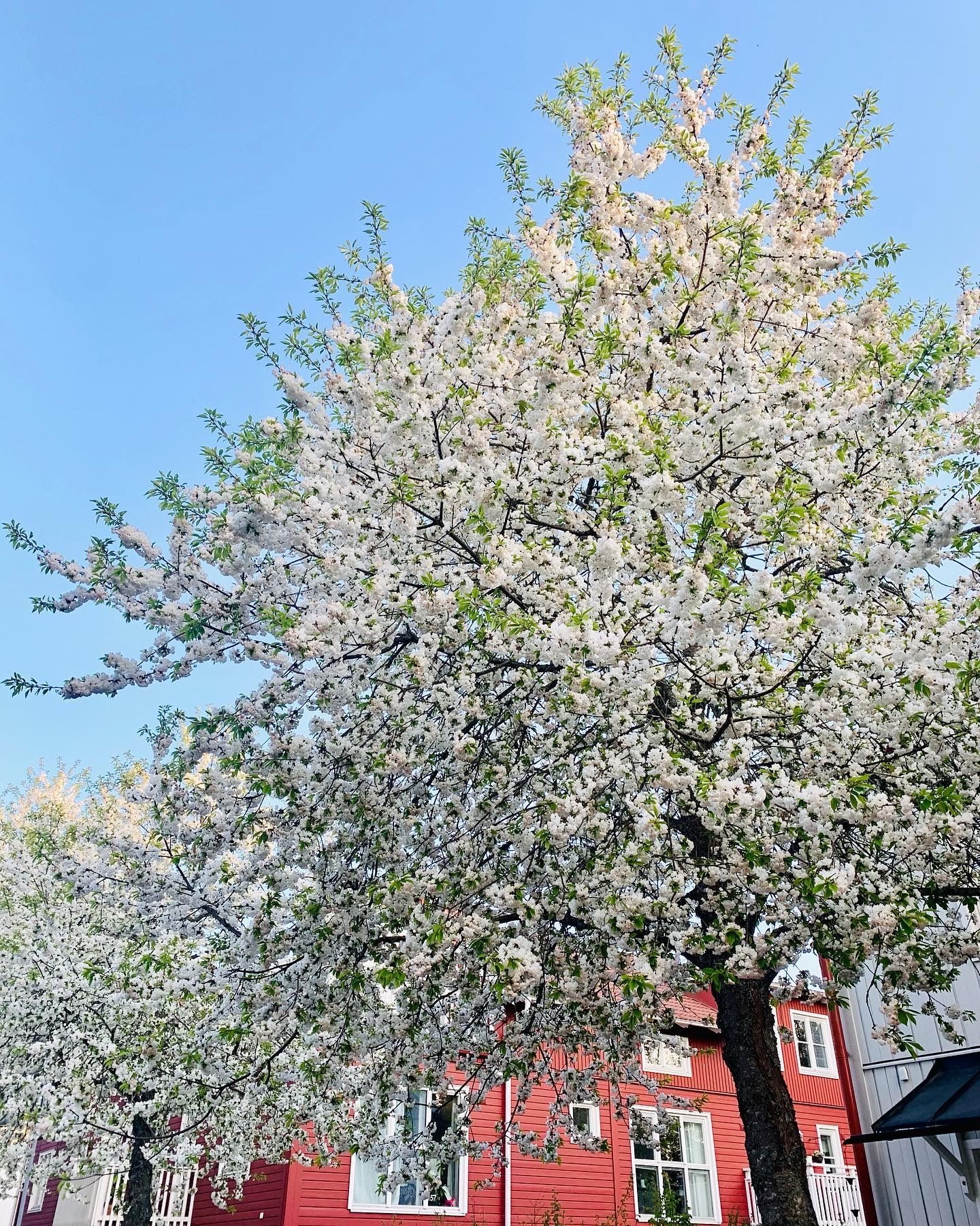 Säljarens egna bilder