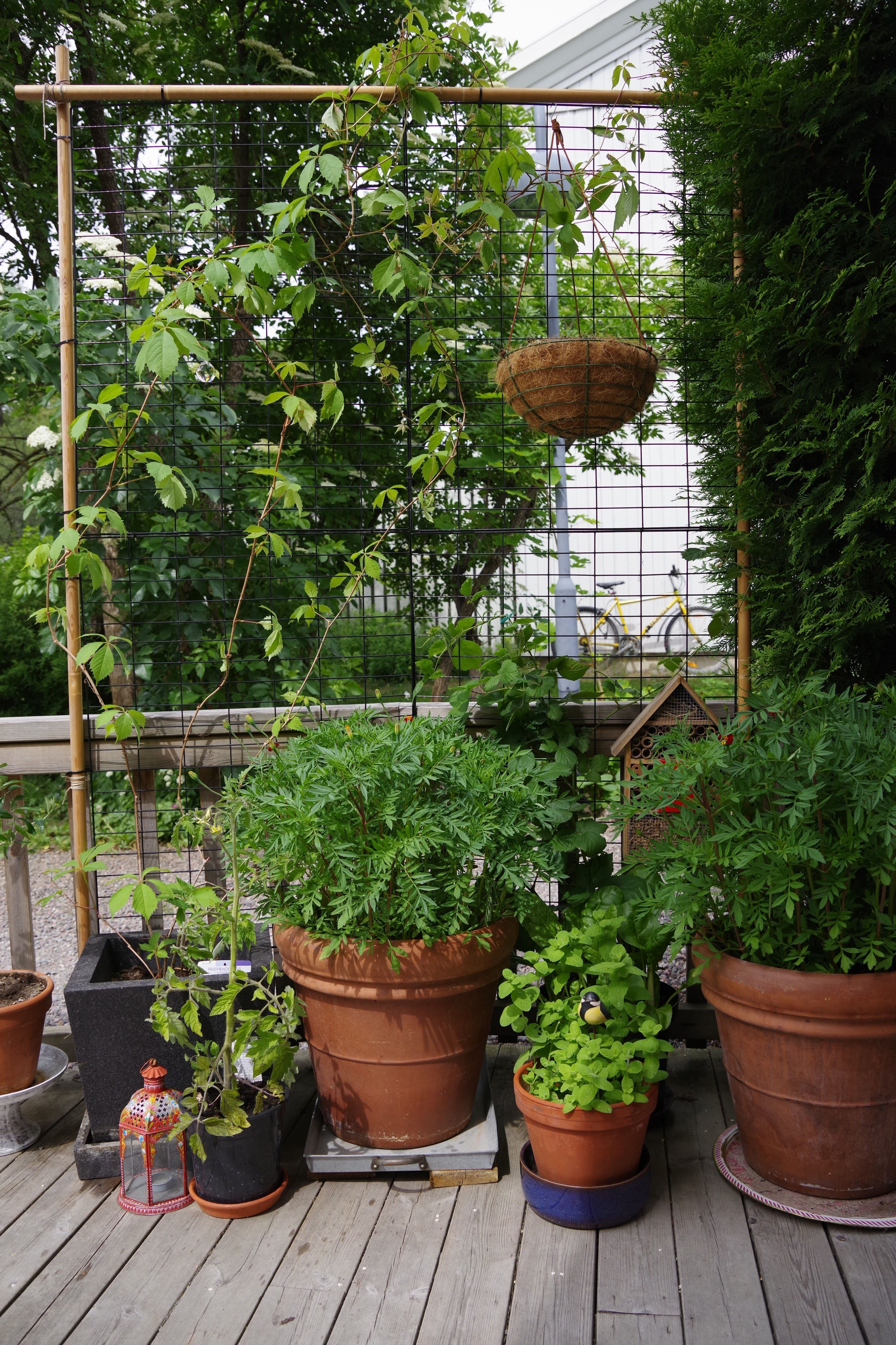 Säljarens egna bilder