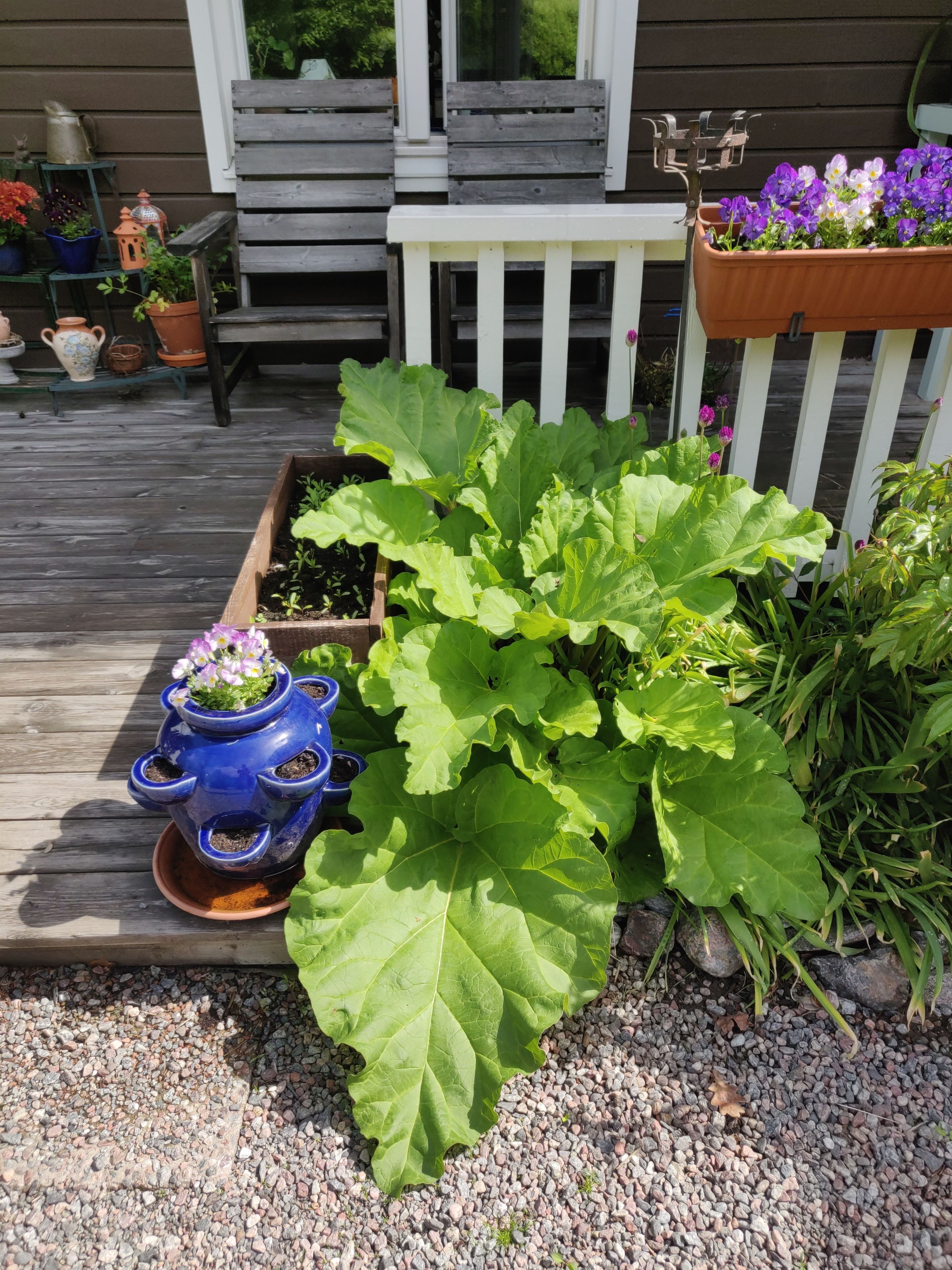 Säljarens egna bilder