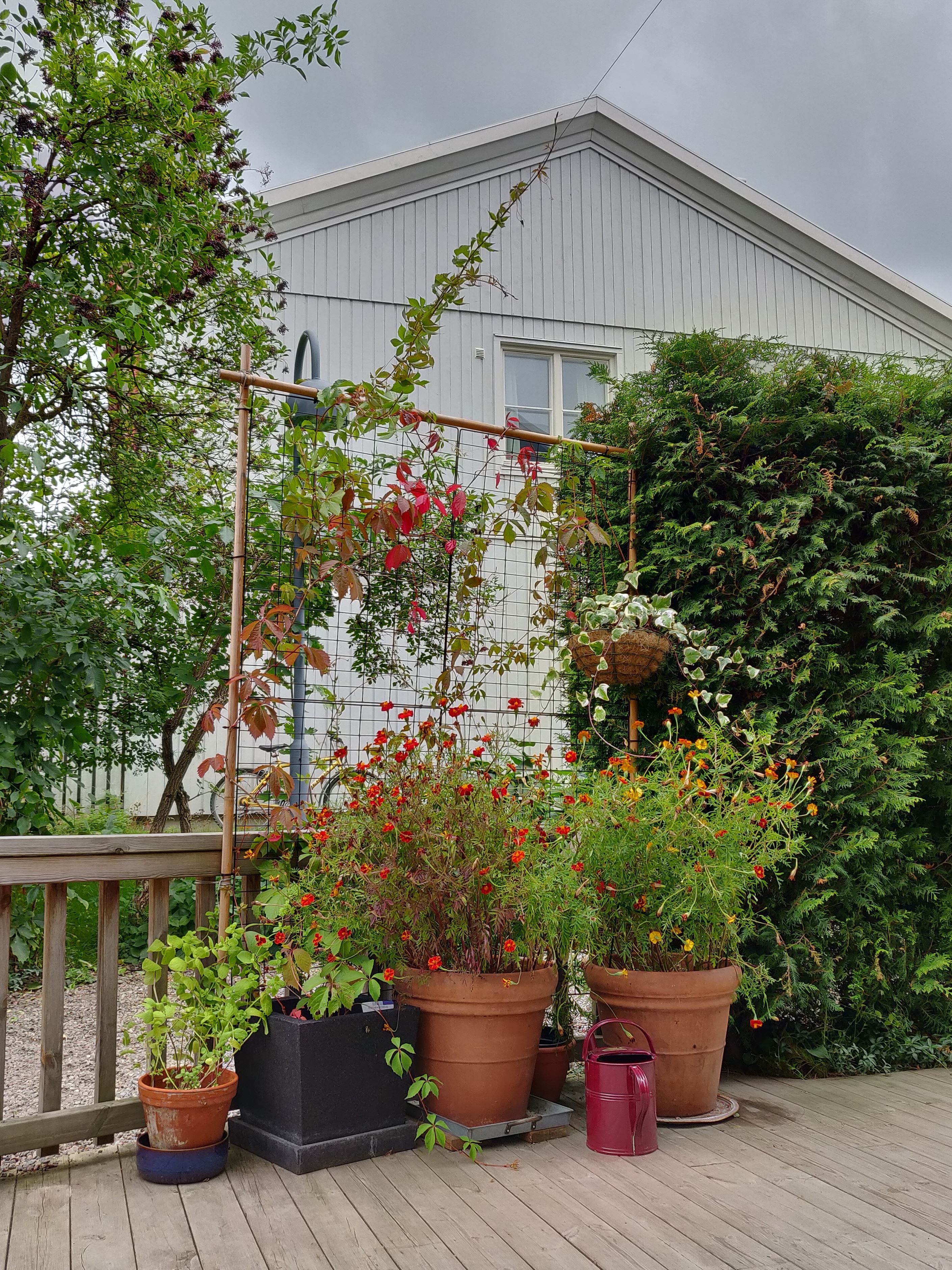 Säljarens egna bilder