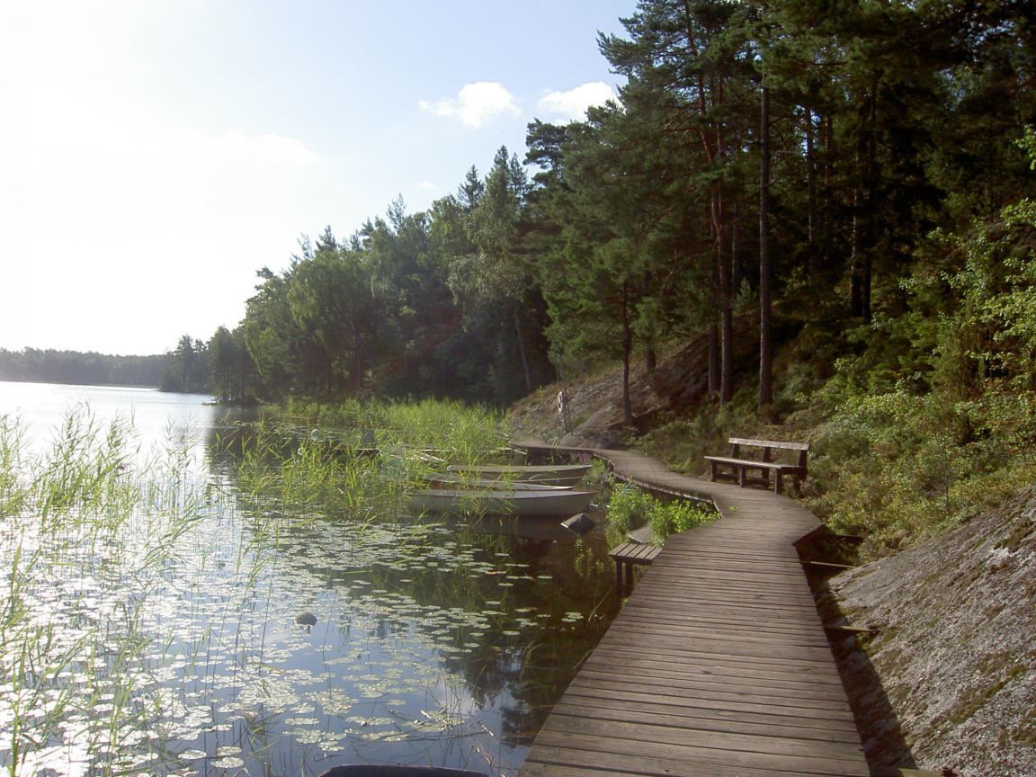 Plats för en eka Återvallsträsket