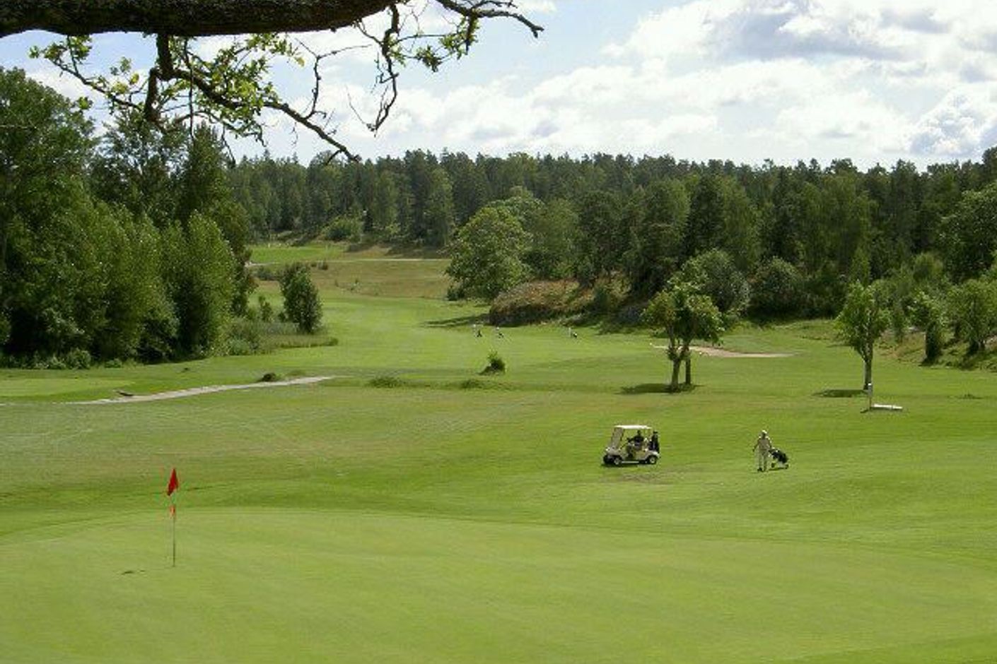 Nära till fågelbro golf