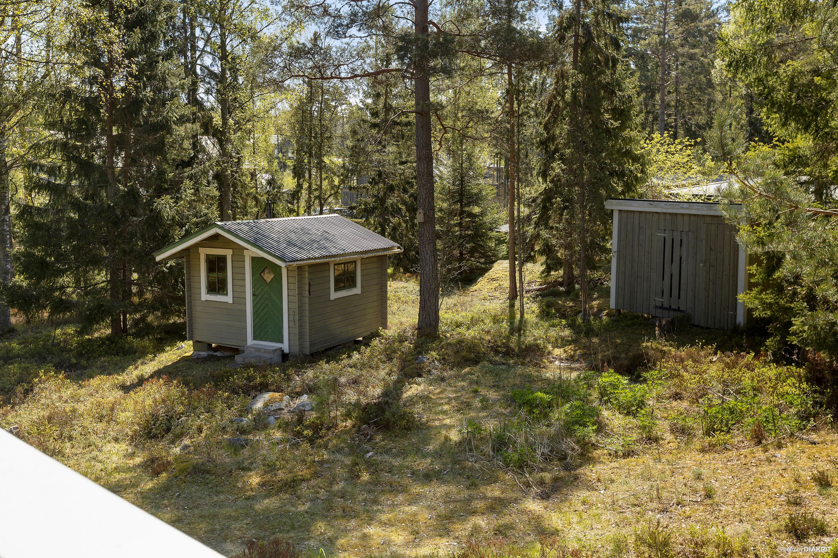 Exteriör