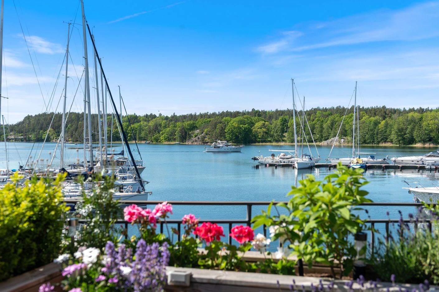 Bo med havet som närmsta granne