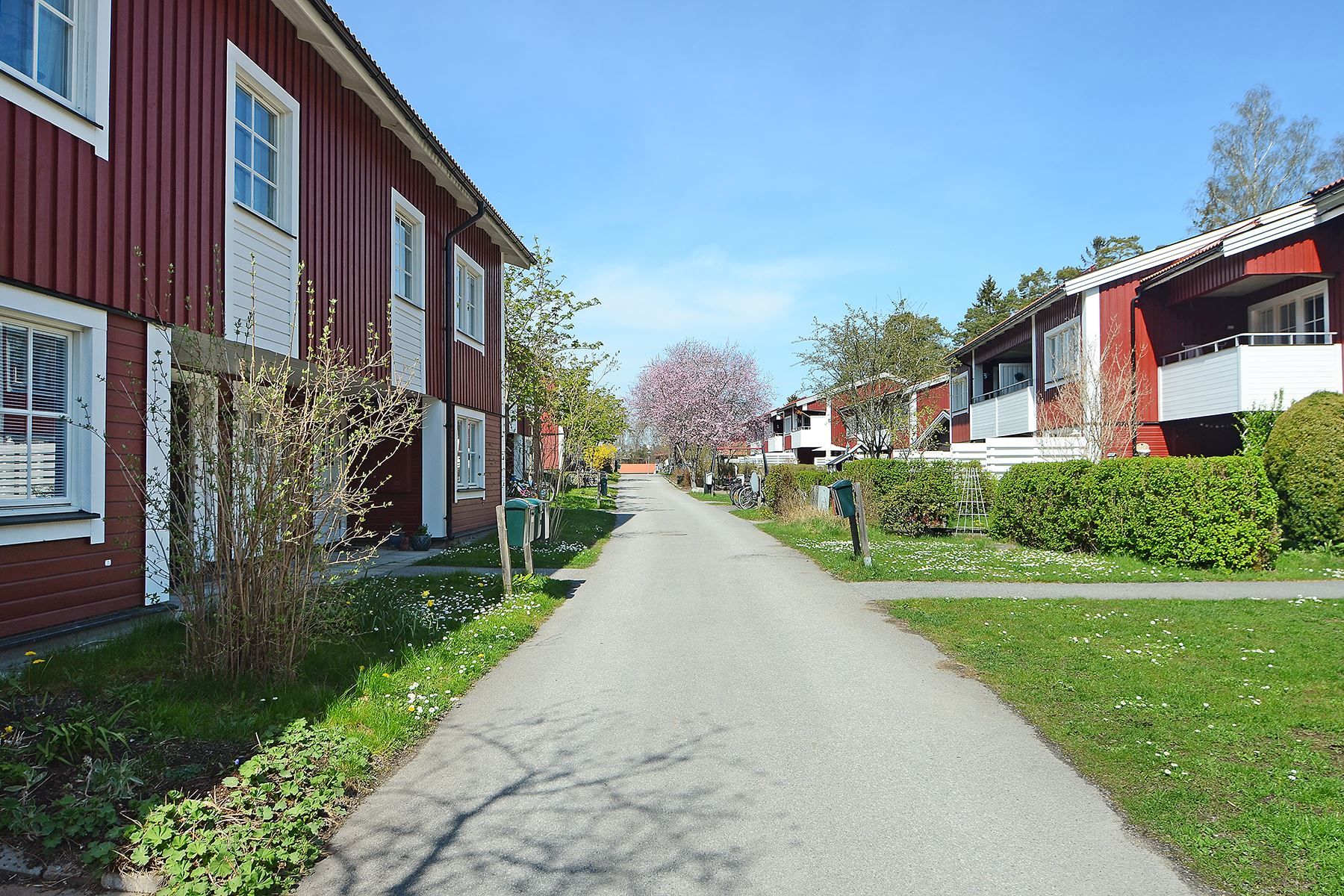 Områdesbild