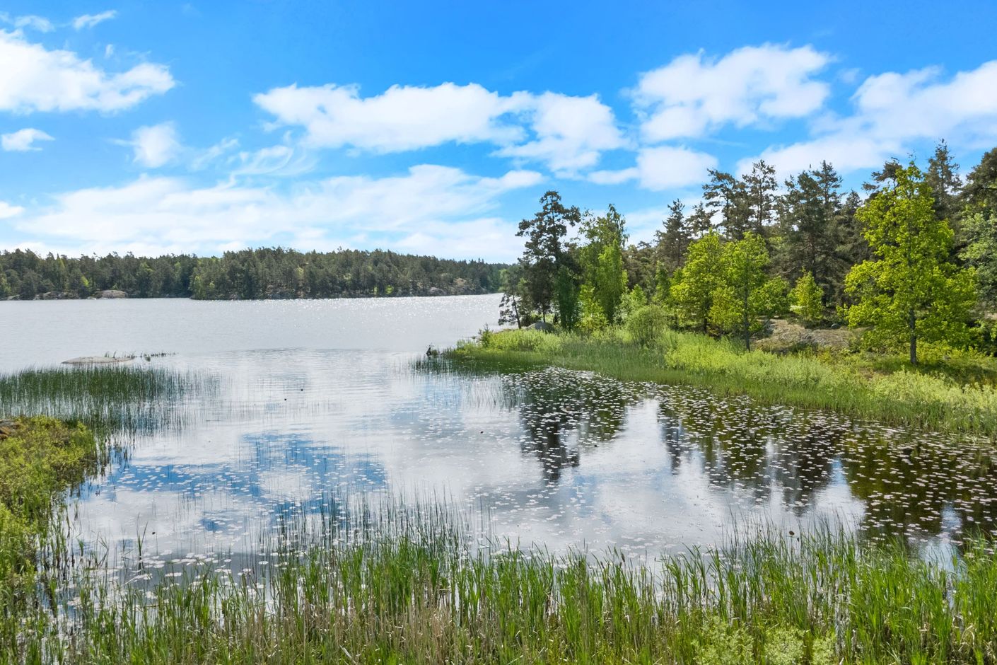 Kvarnsjön
