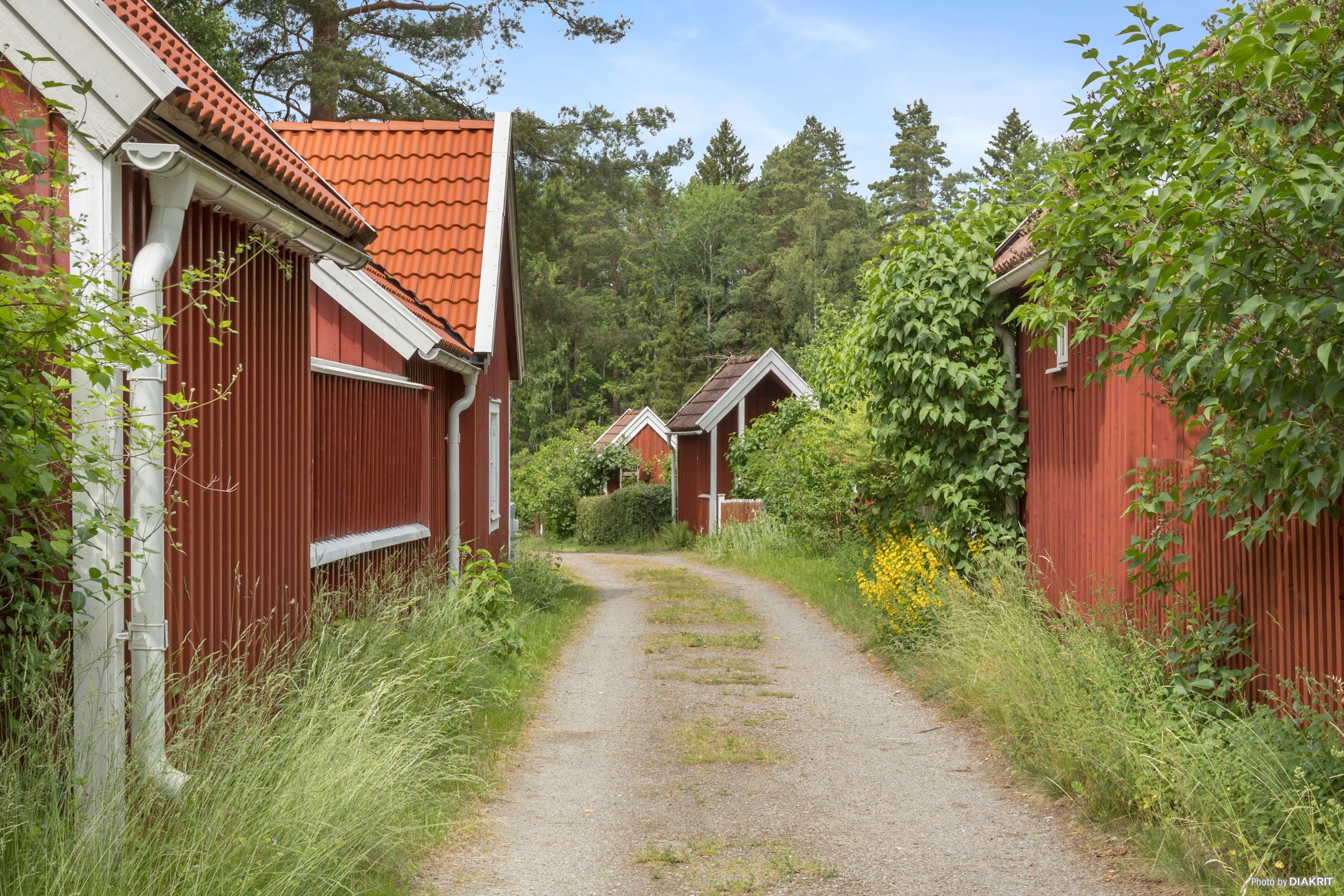 Exteriör