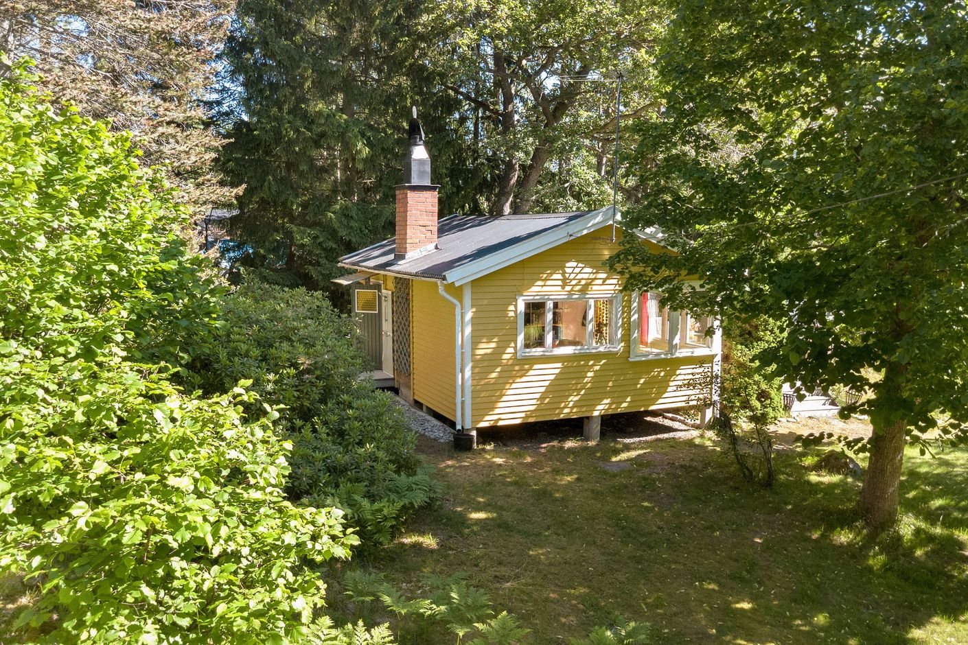 Exteriör