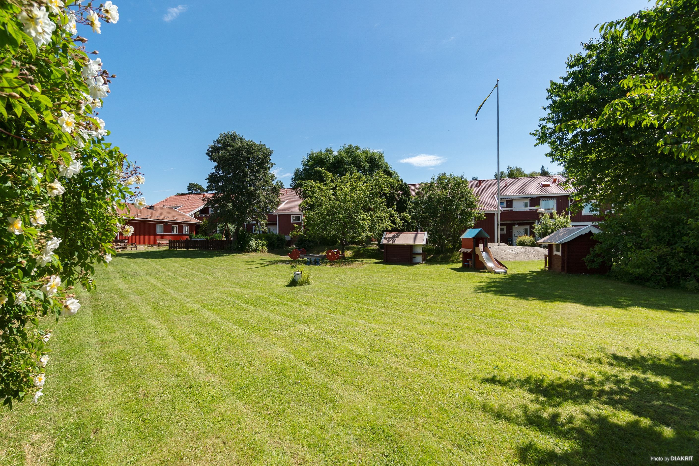 Gräsytor