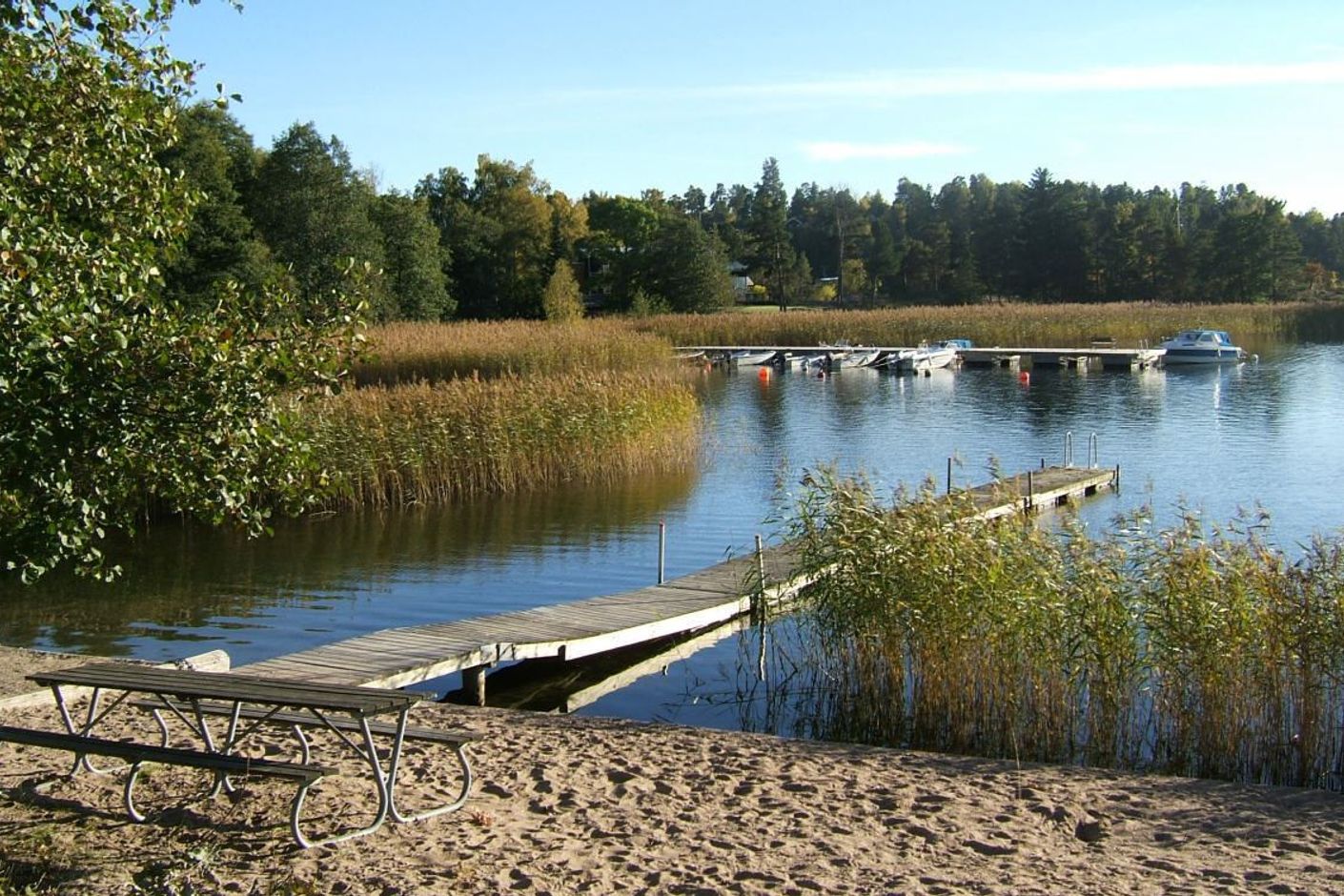 Strand och brygga