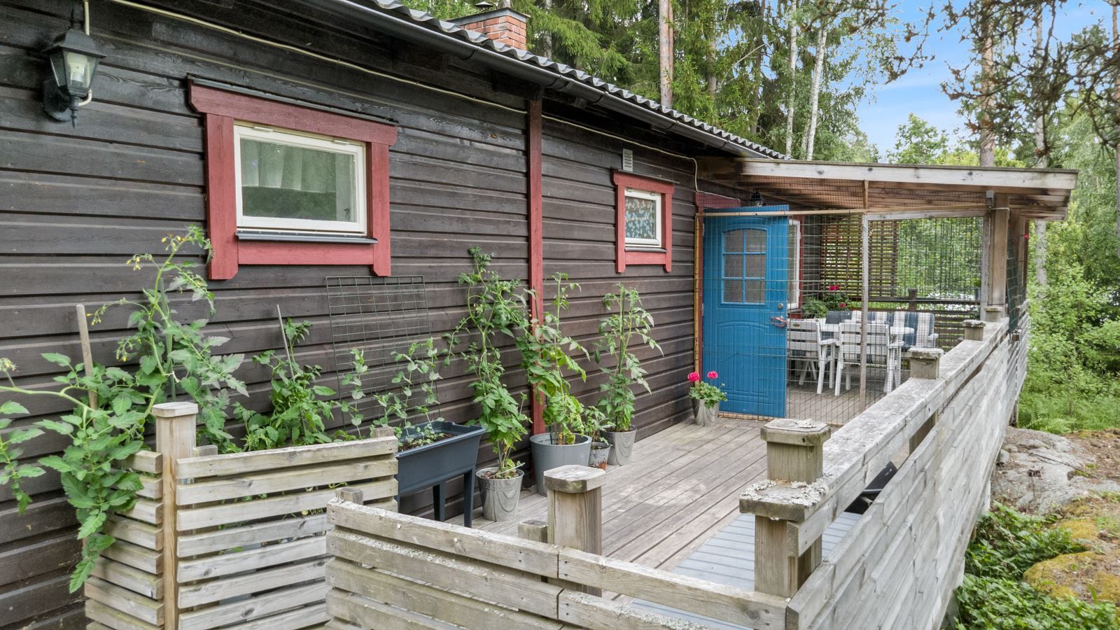 Exteriör