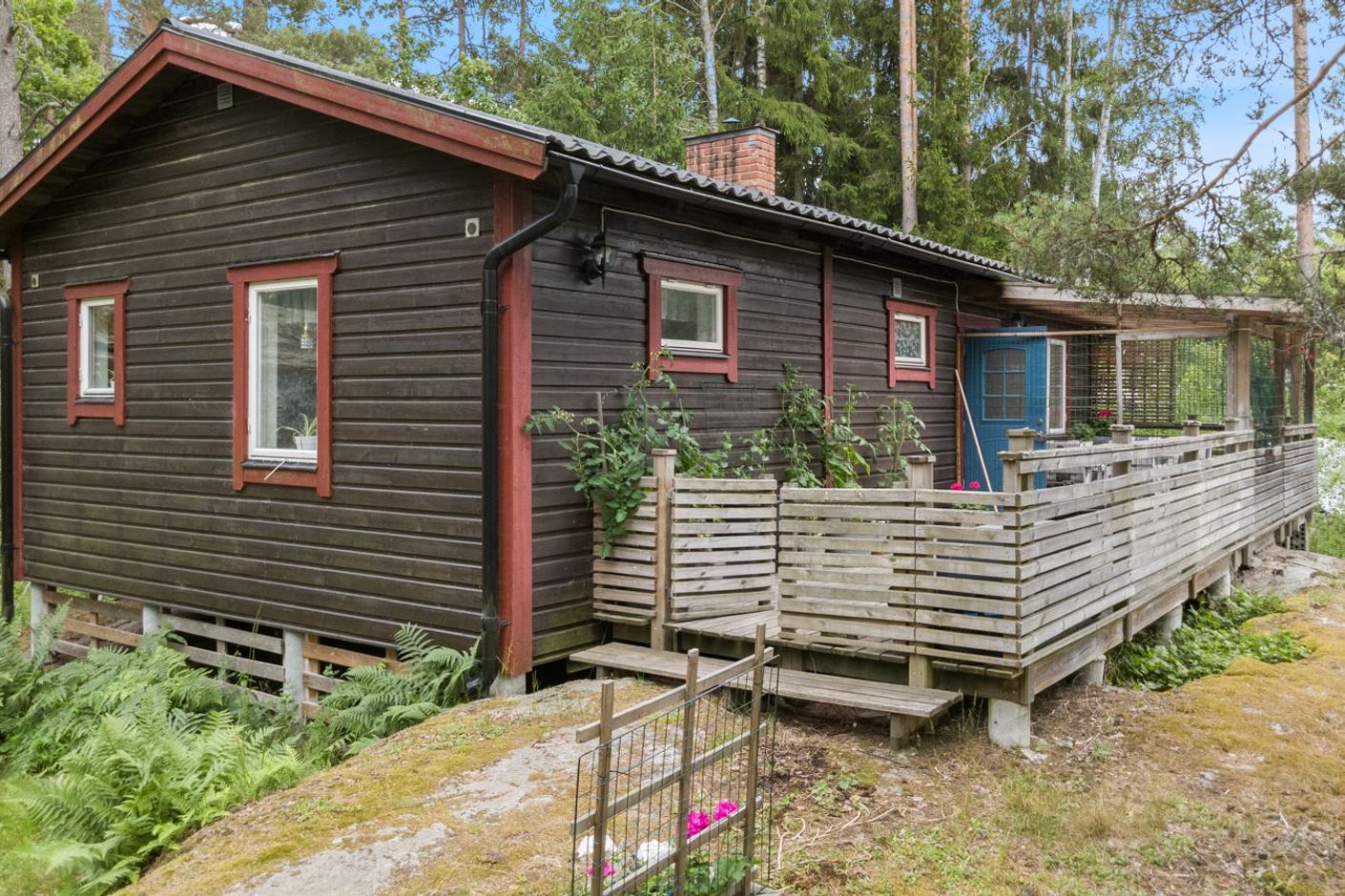 Exteriör