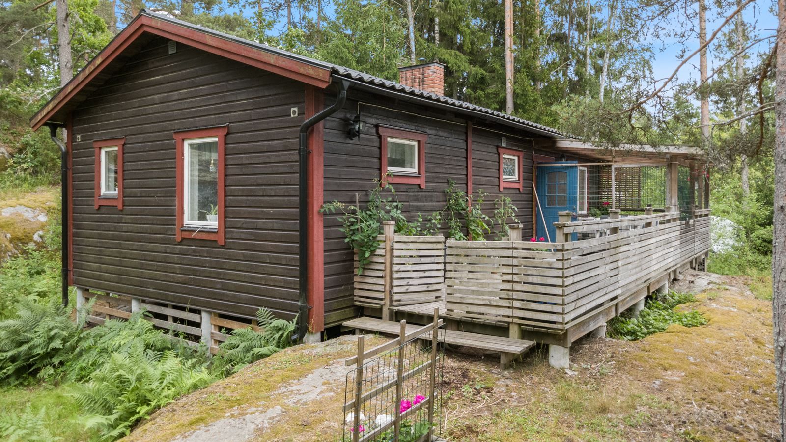 Exteriör