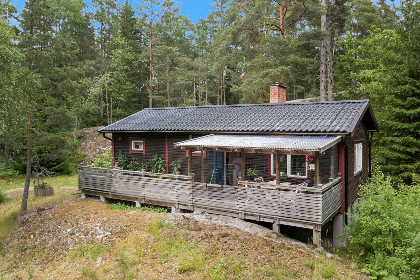 Exteriör