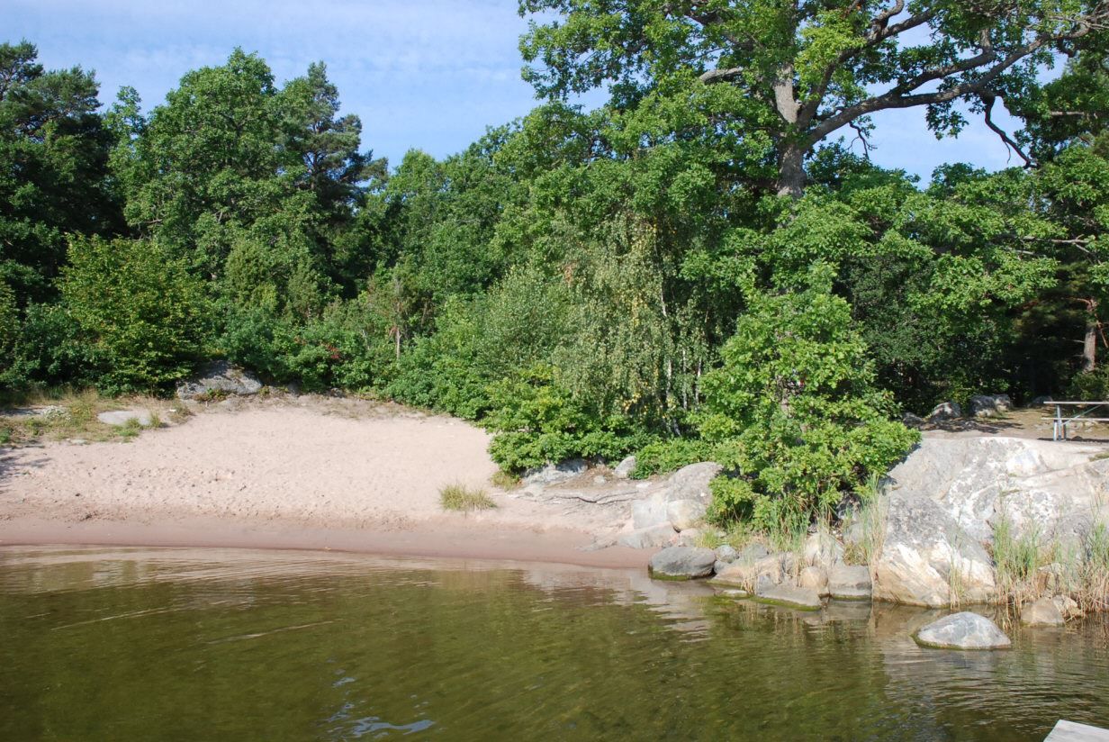 Samfällighetens badplats