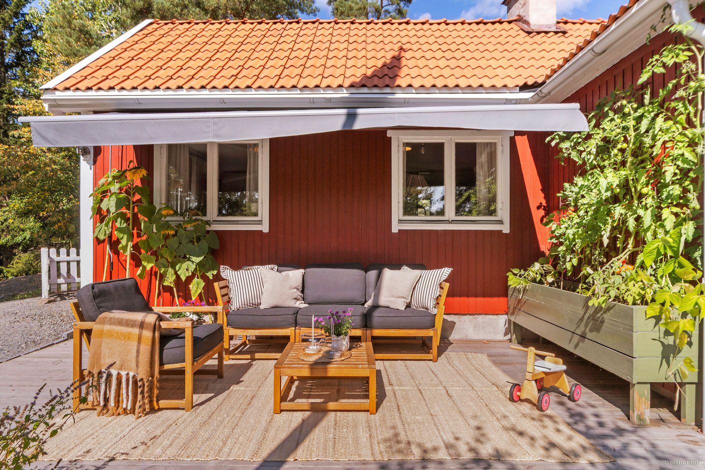 Exteriör