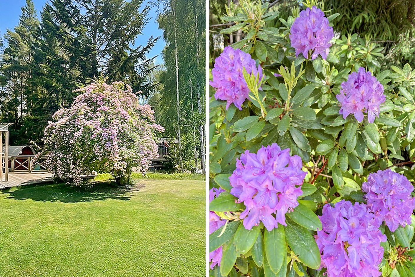 Säljarens egna bilder