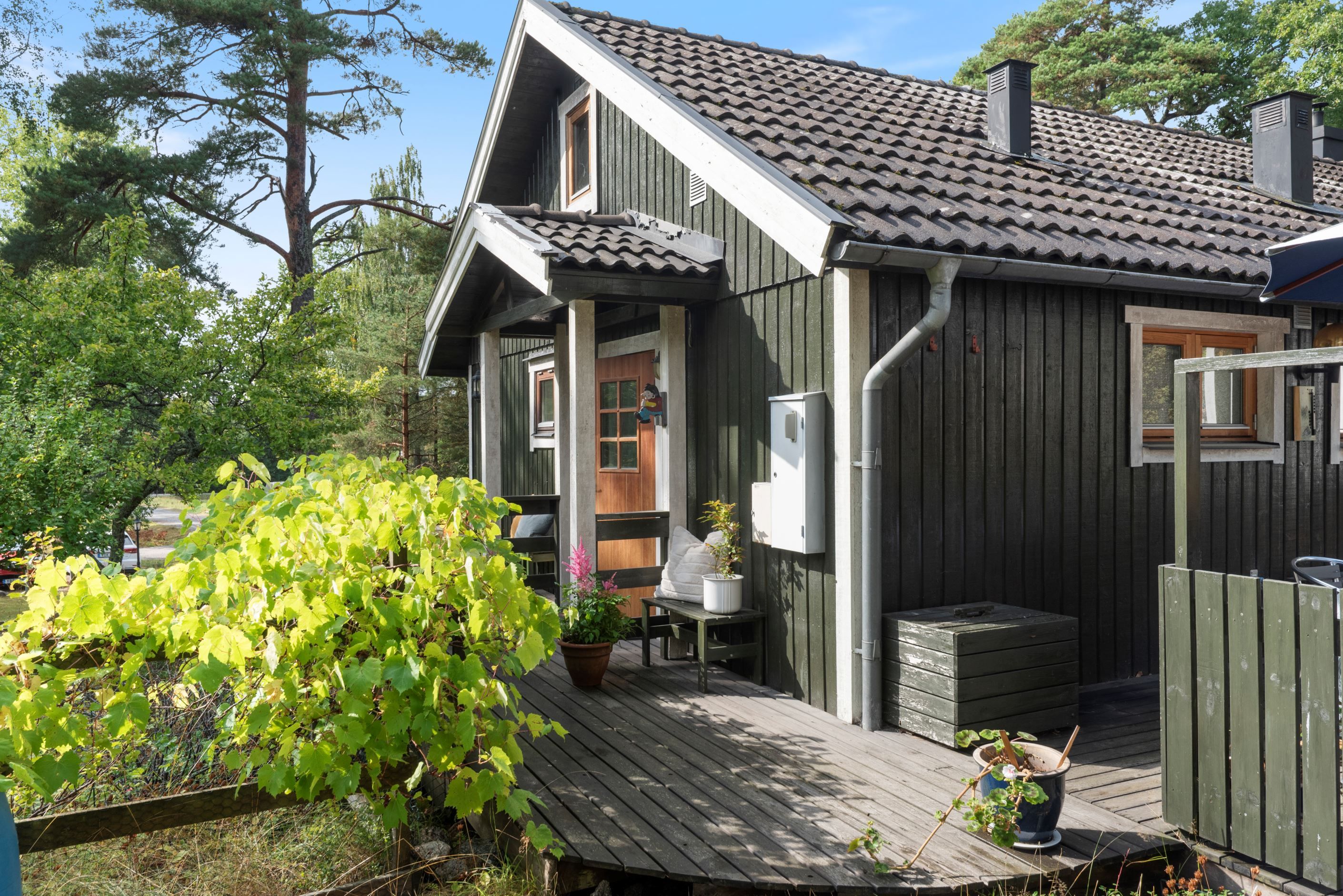 Exteriör