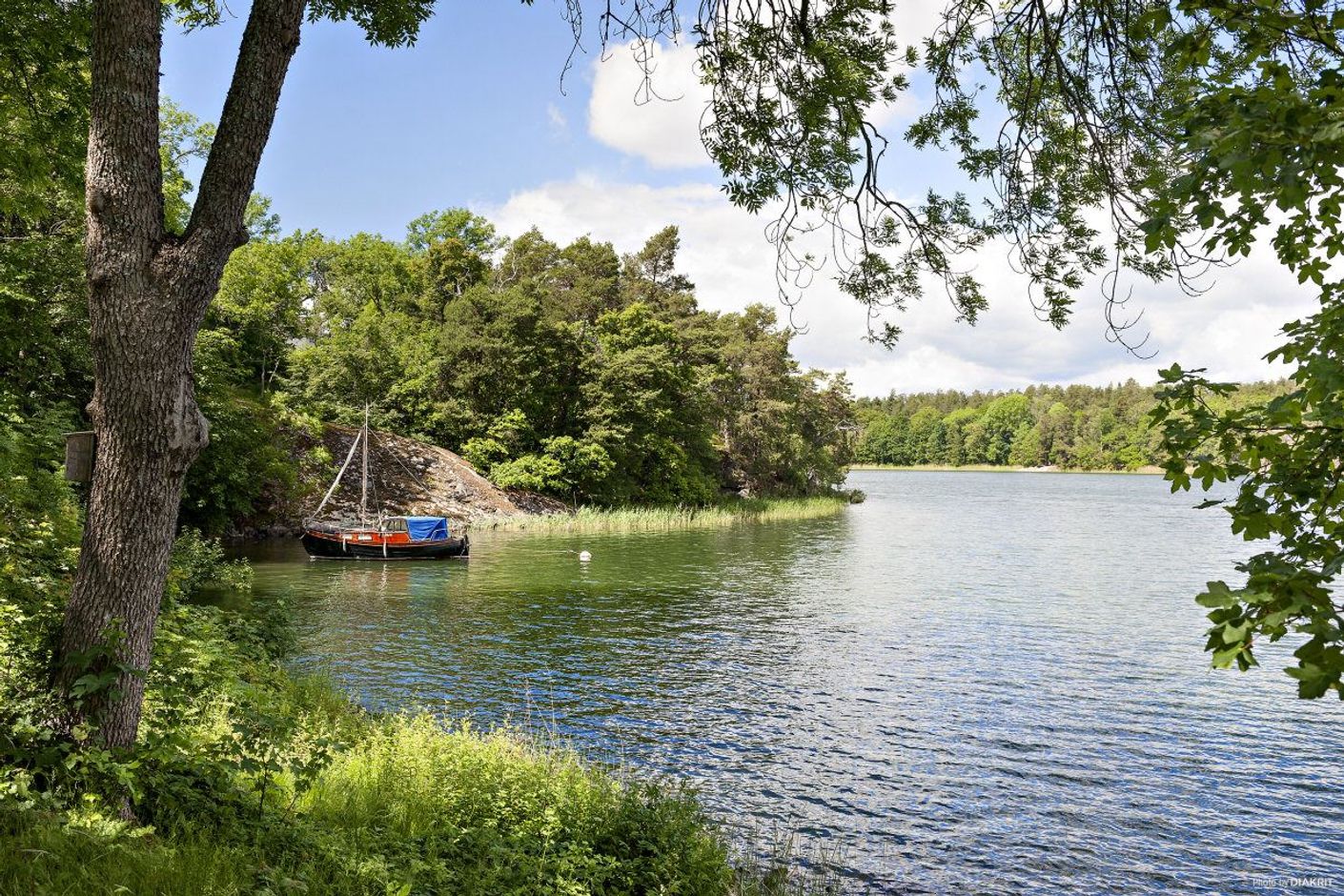 Bilder över viken