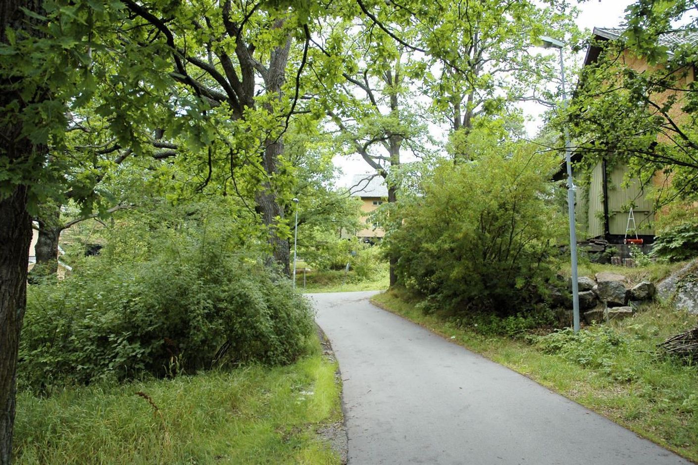 Härliga promenadstråk i lummig natur