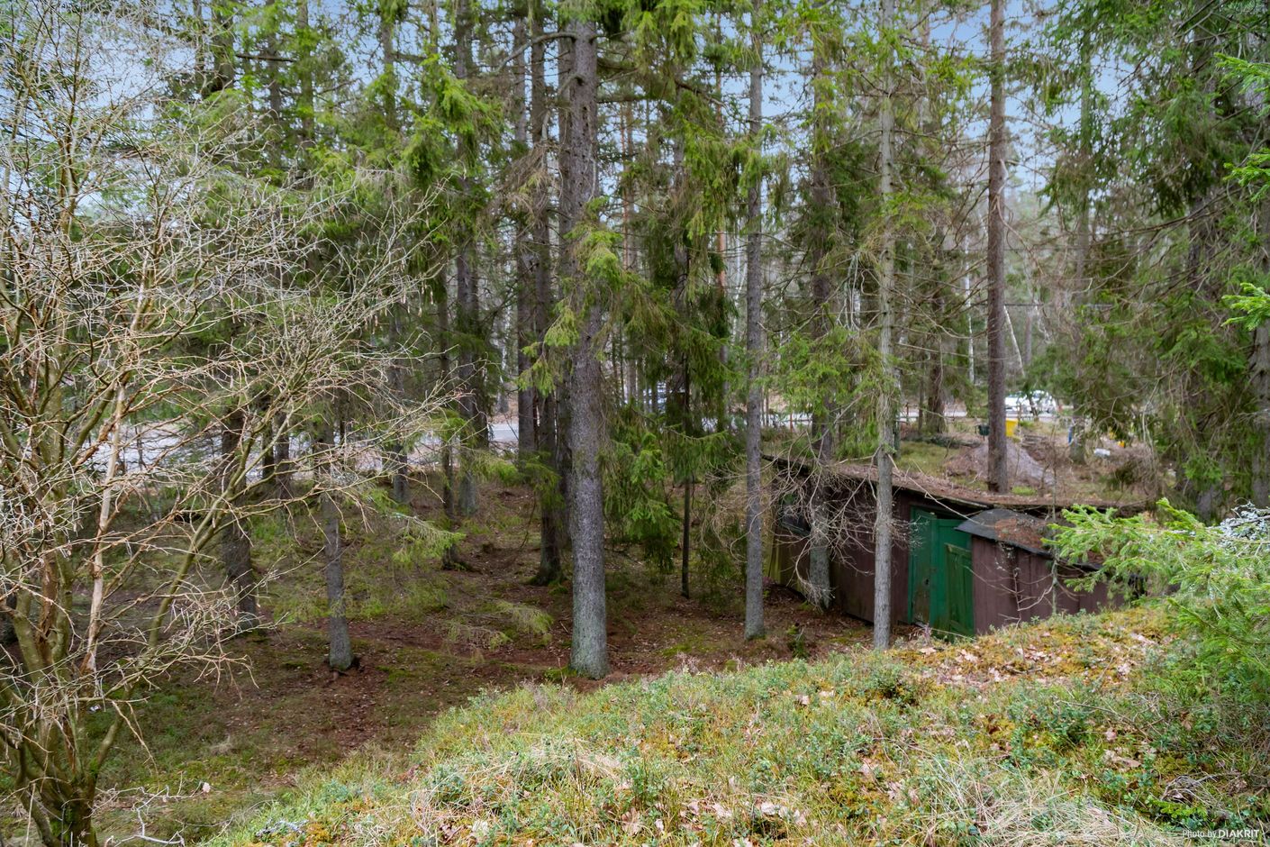 Exteriör
