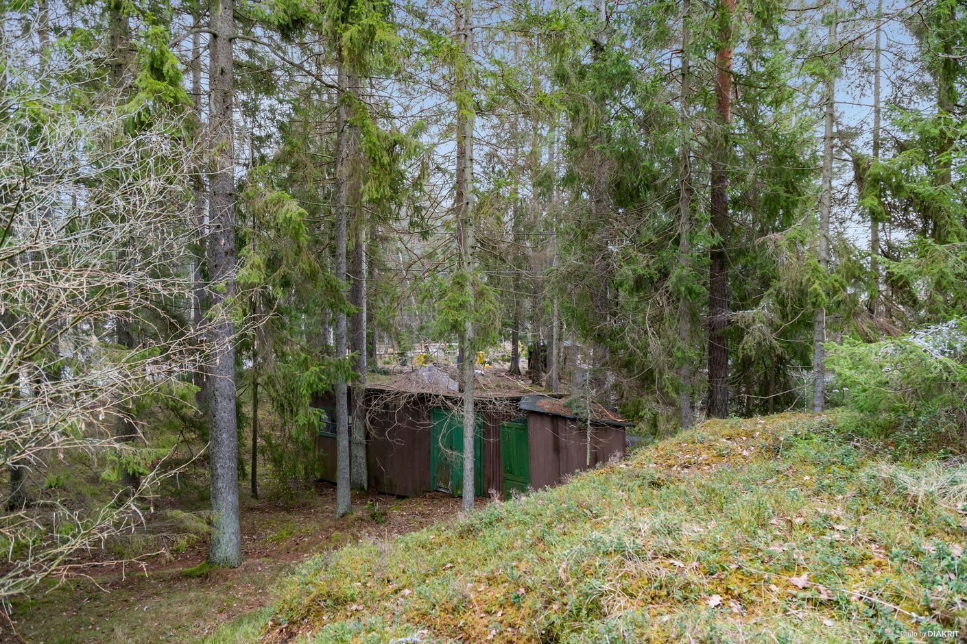 Exteriör
