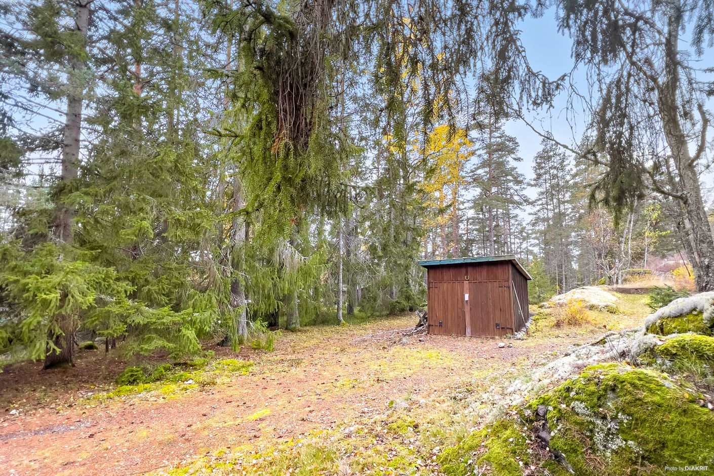 Exteriör