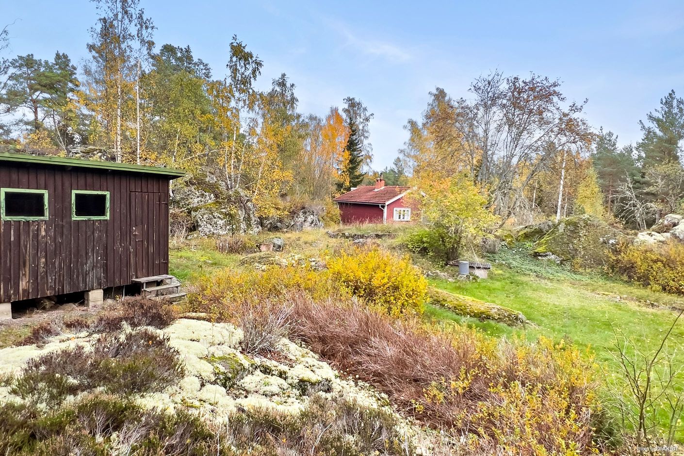 Exteriör