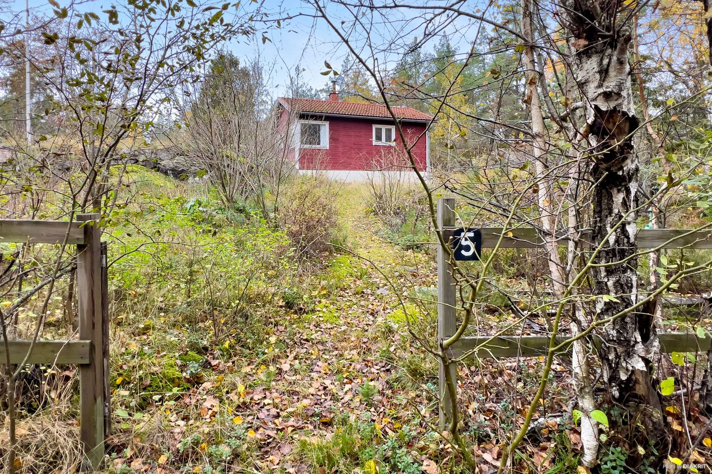 Exteriör
