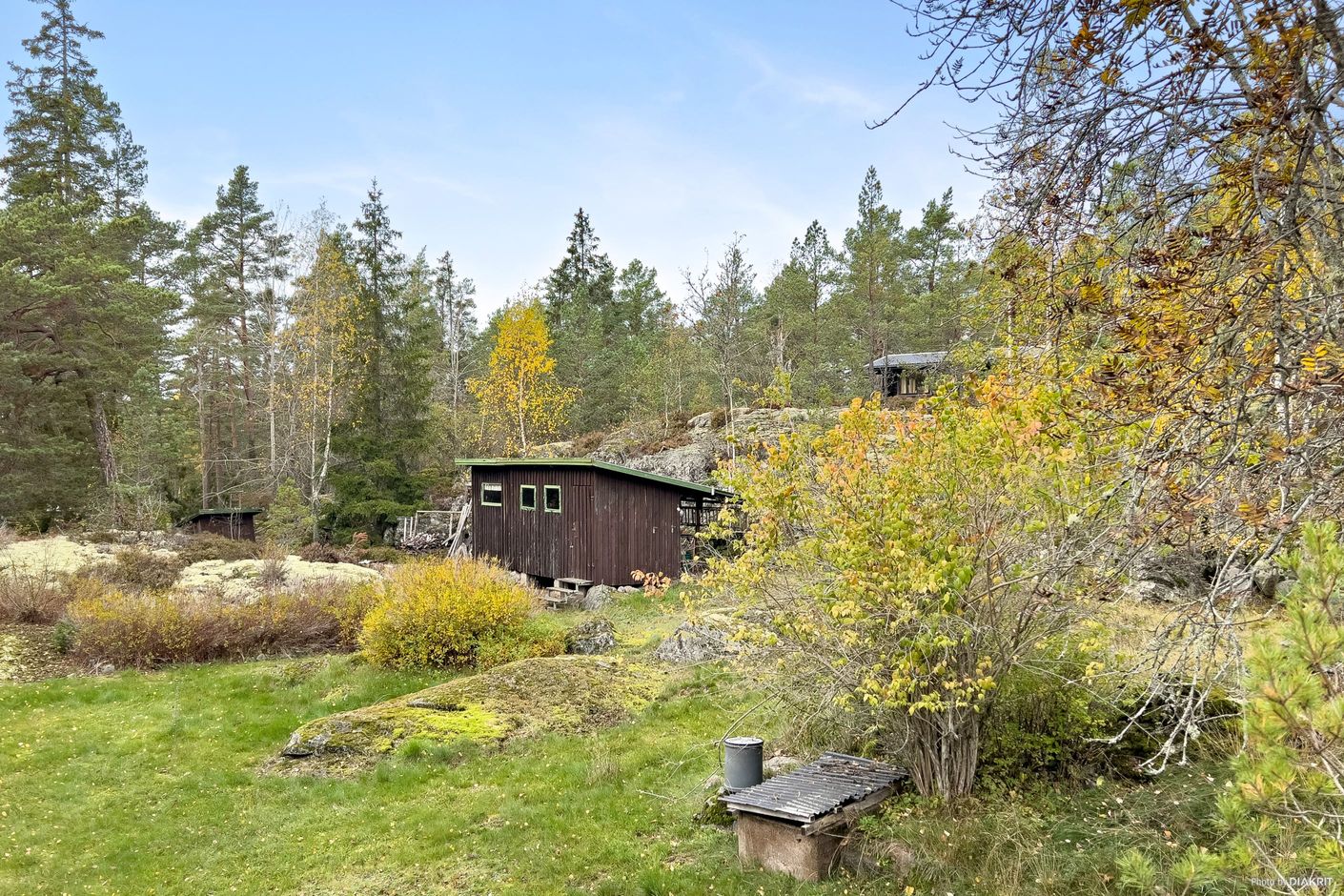 Exteriör