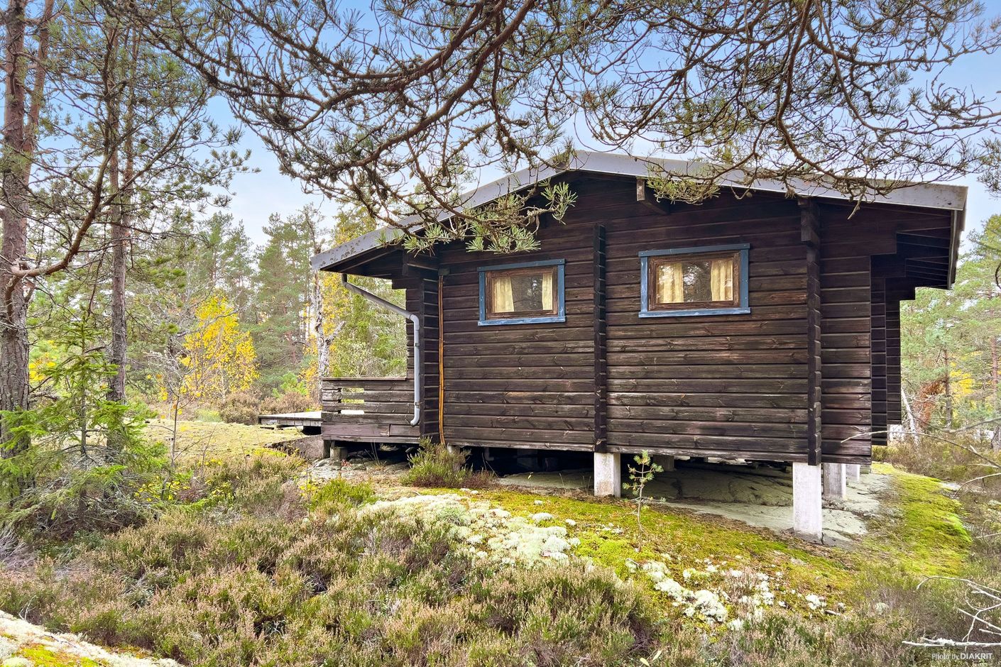 Exteriör