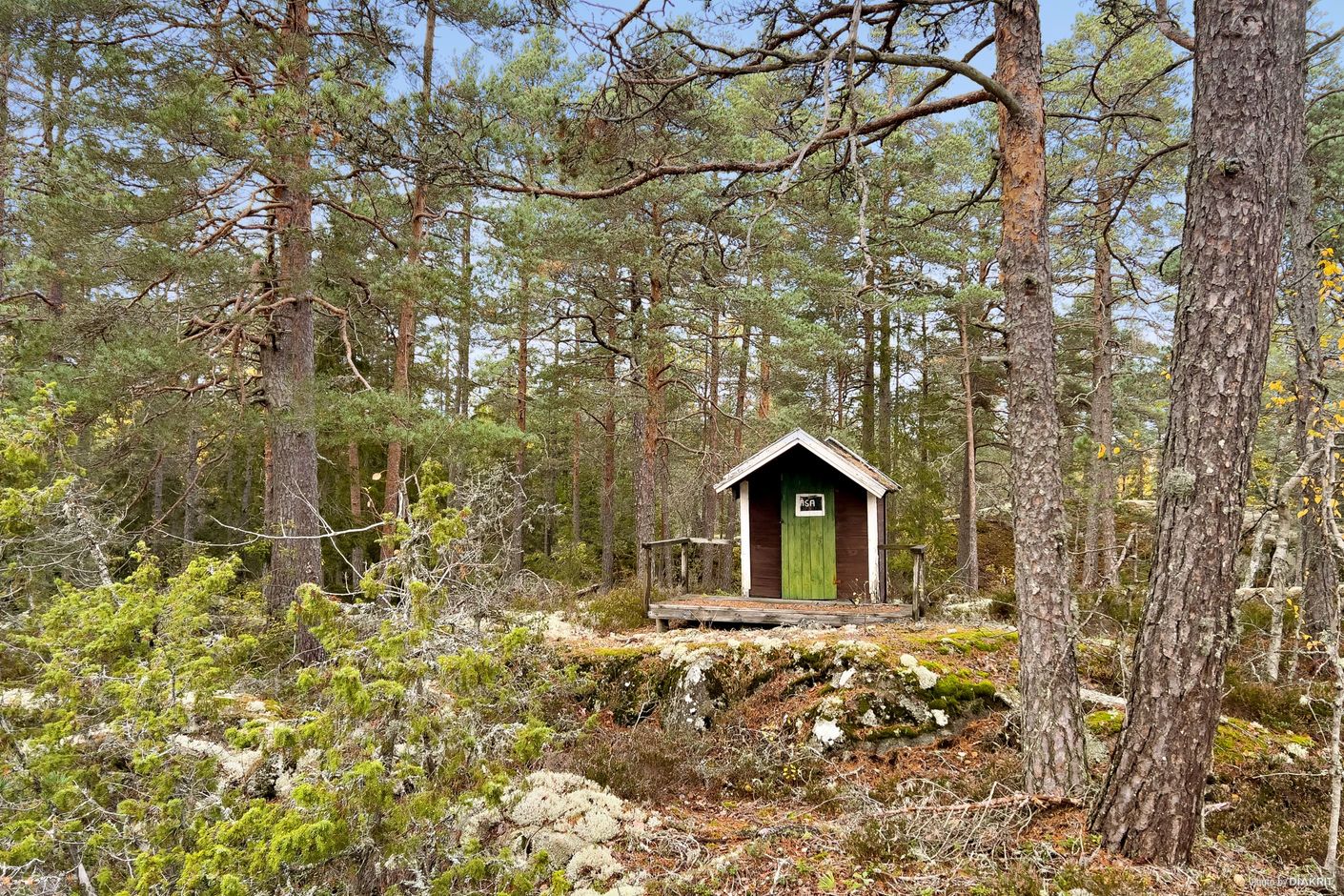 Exteriör