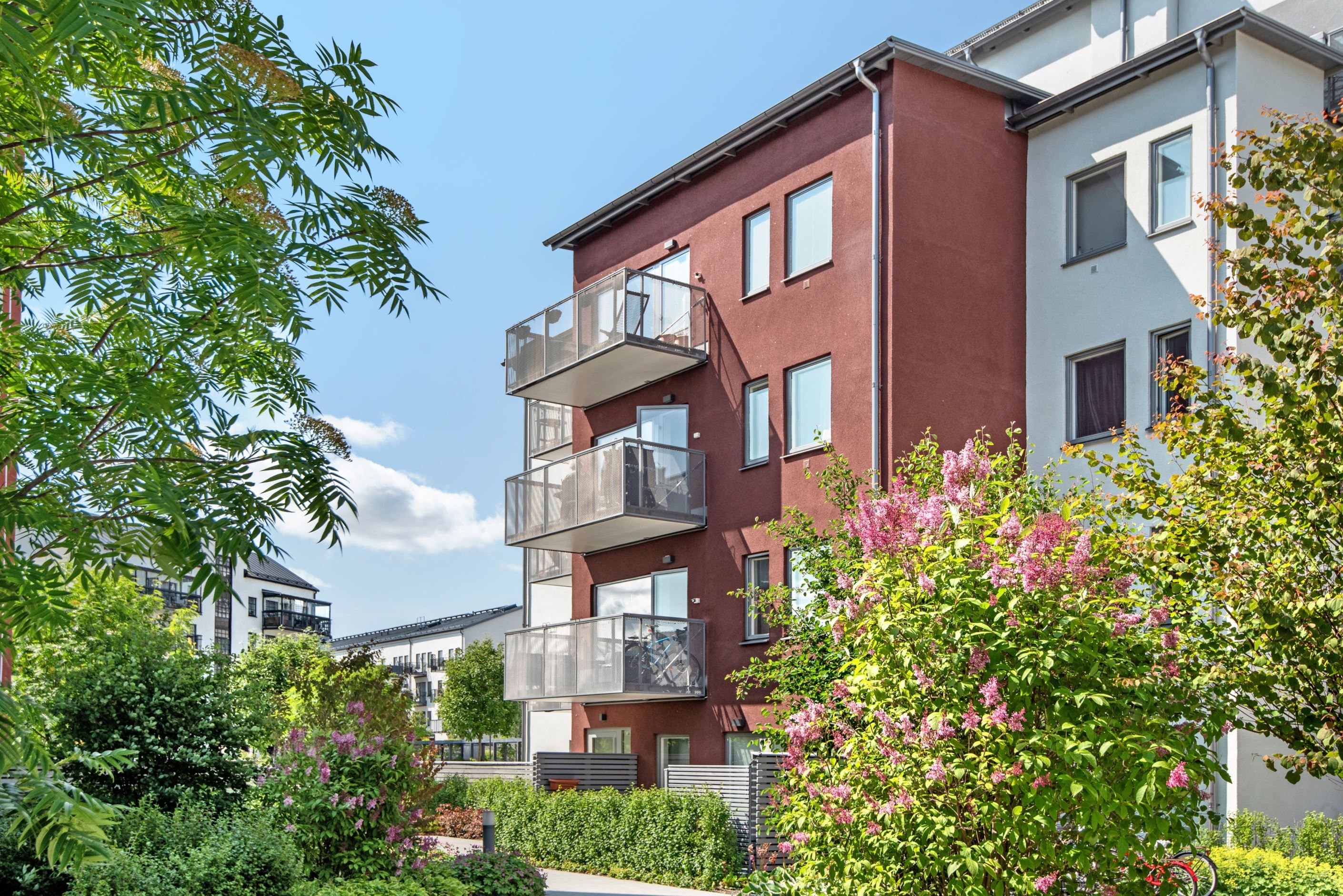 Bild från gården