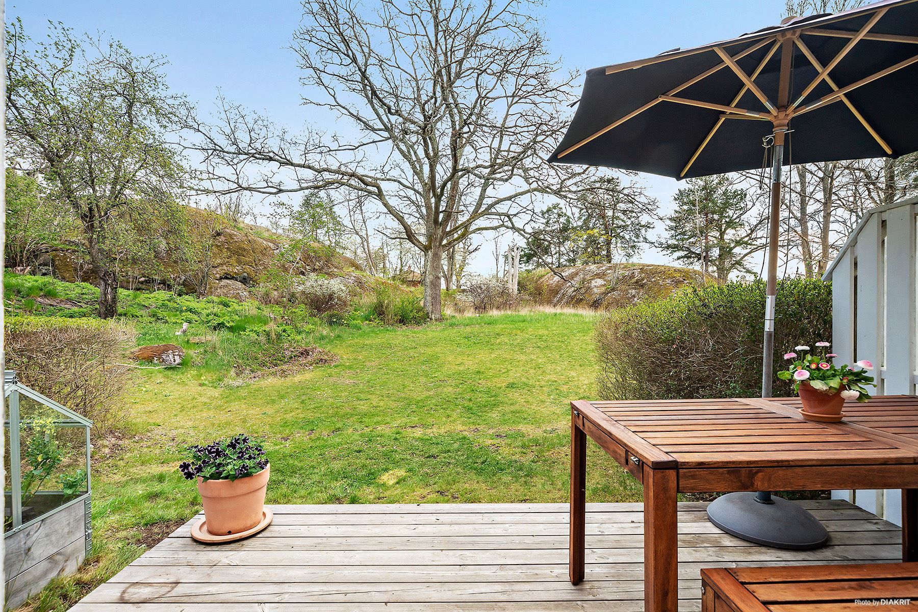 Njut av den här vackra baksidan