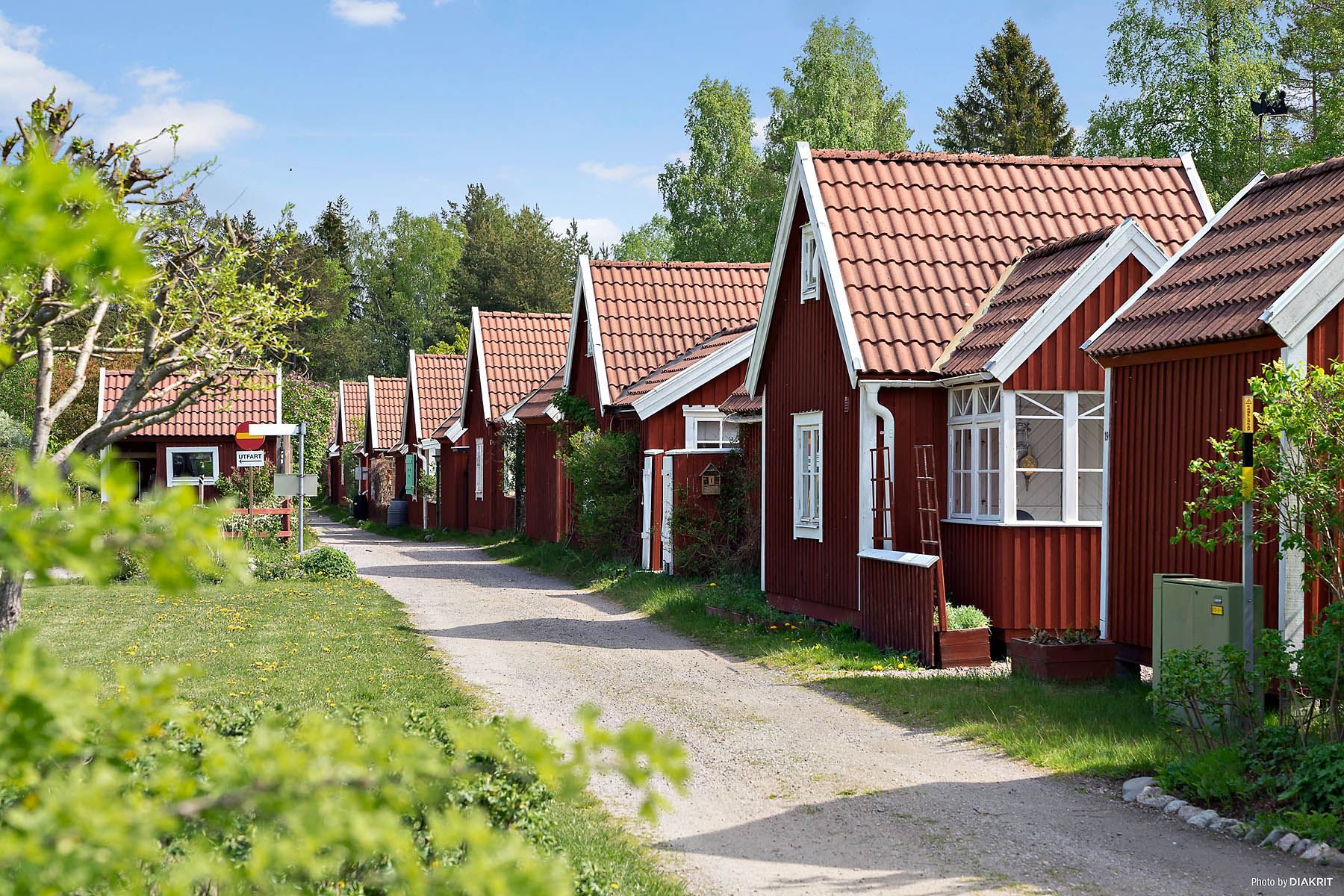 Nybyggarvägen