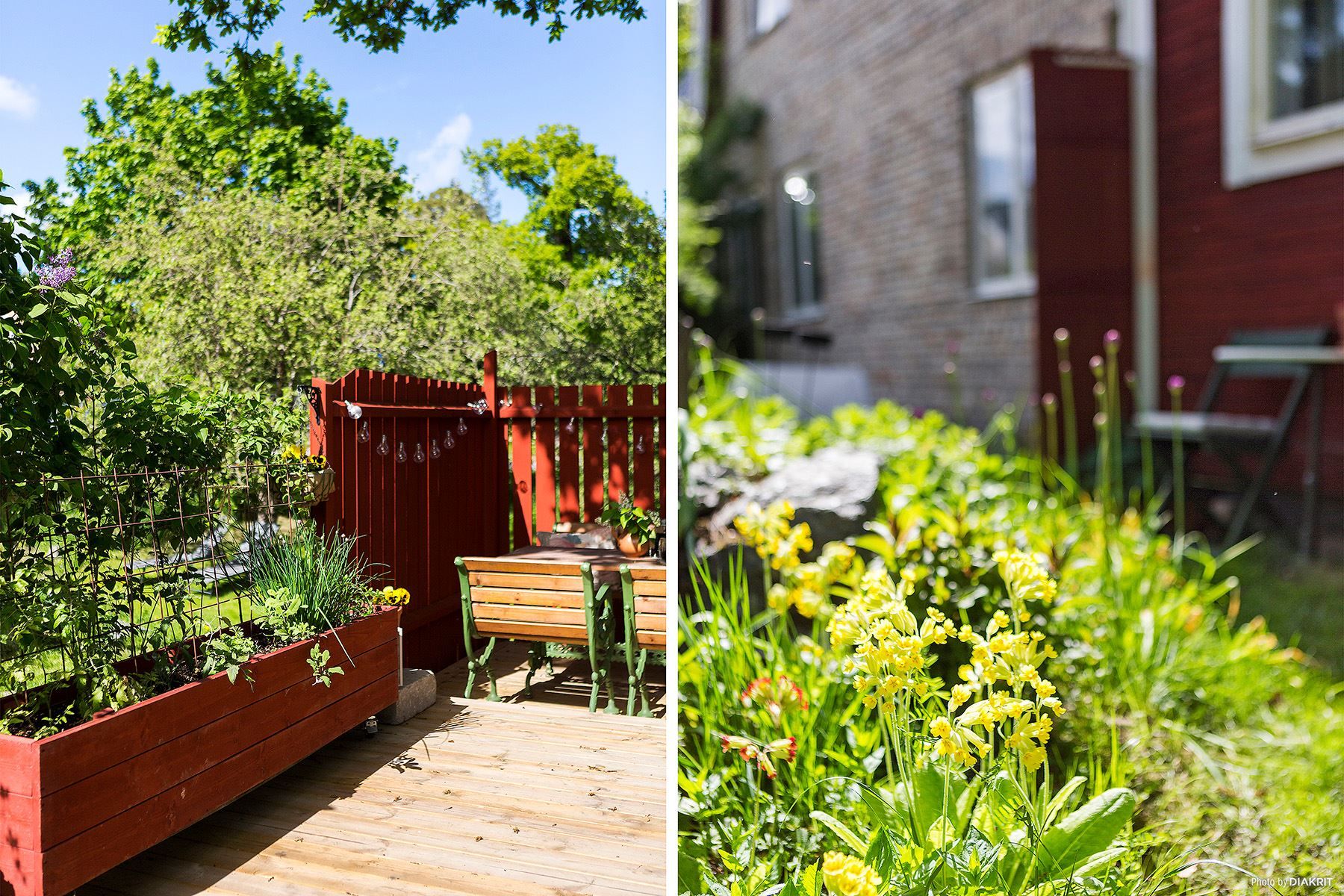 Plats för odling av kryddor, klätterväxter mm