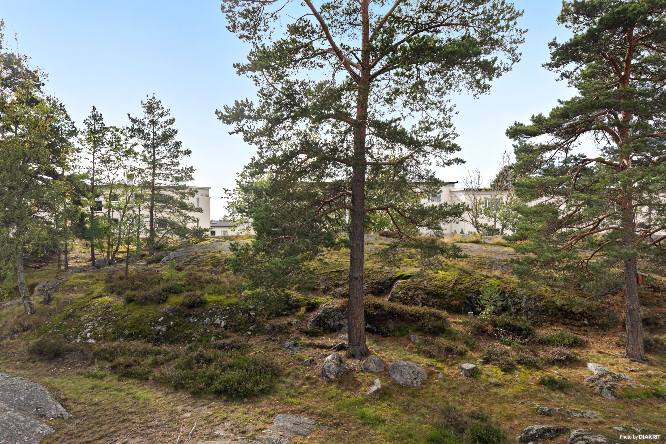 Utsikt från balkongen